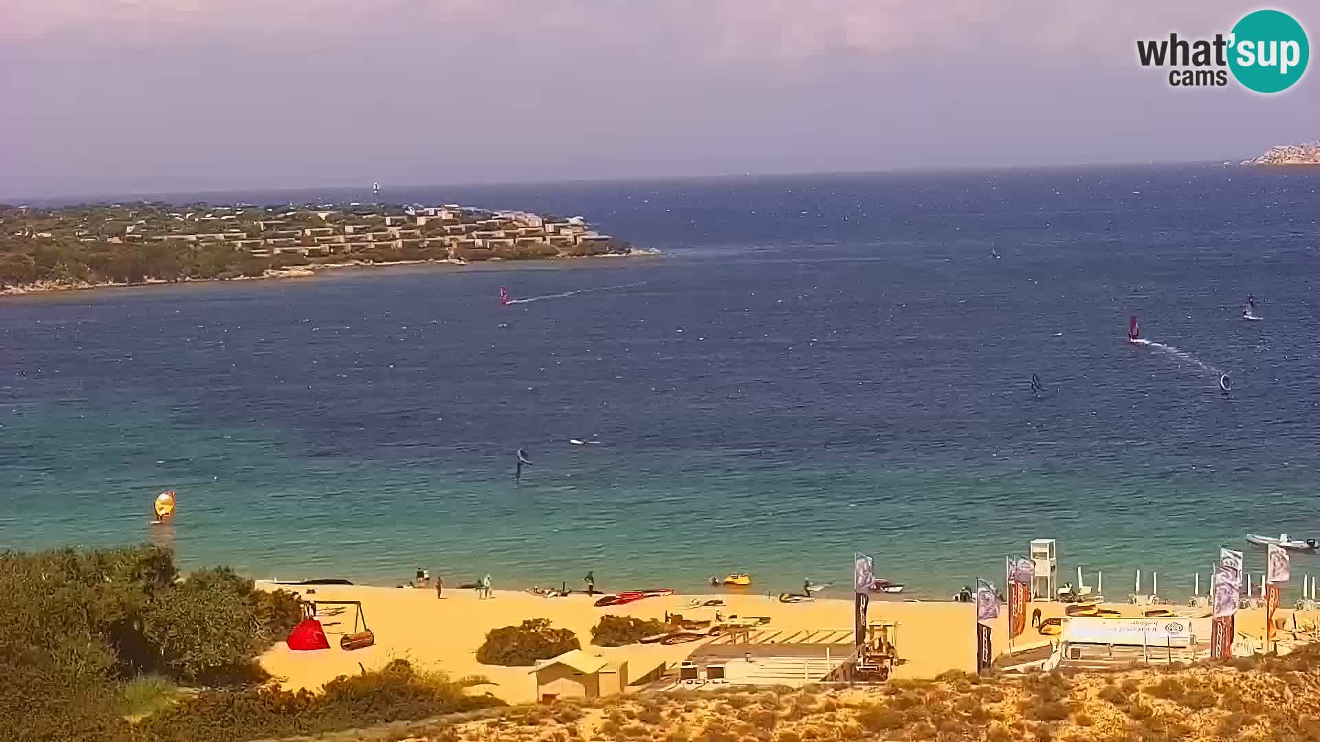 Camera en vivo Porto Pollo playa Cerdeña