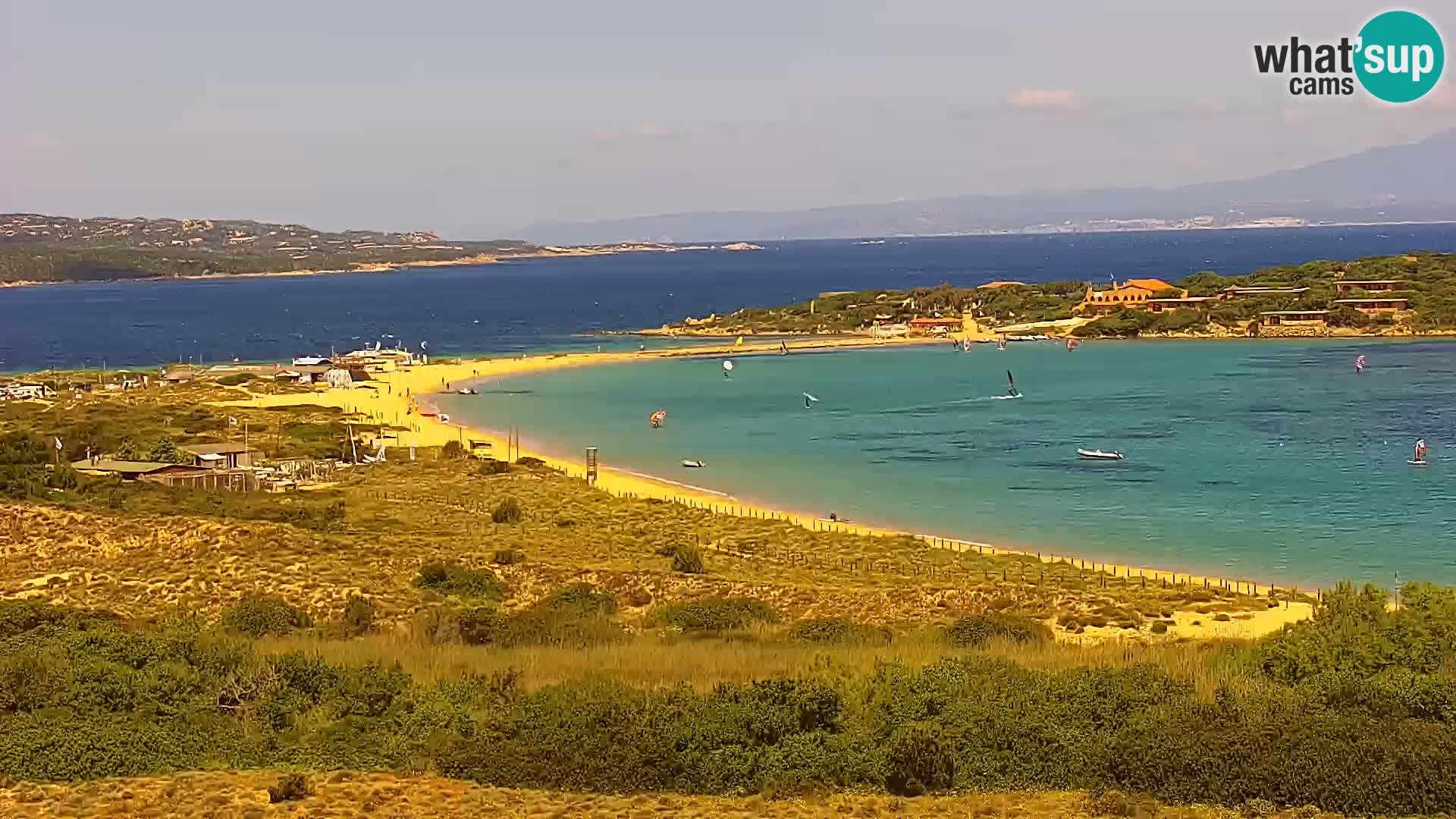 Camera en vivo Porto Pollo playa Cerdeña