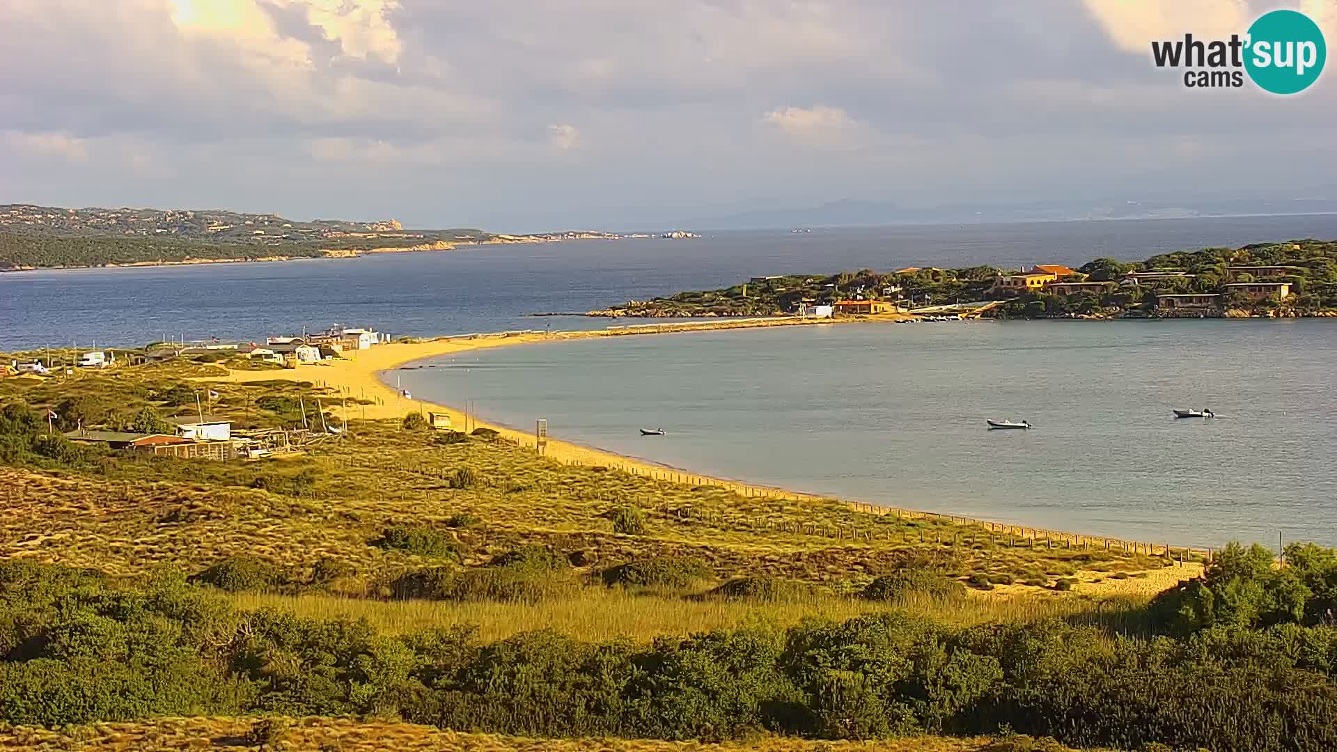 Camera en vivo Porto Pollo playa Cerdeña