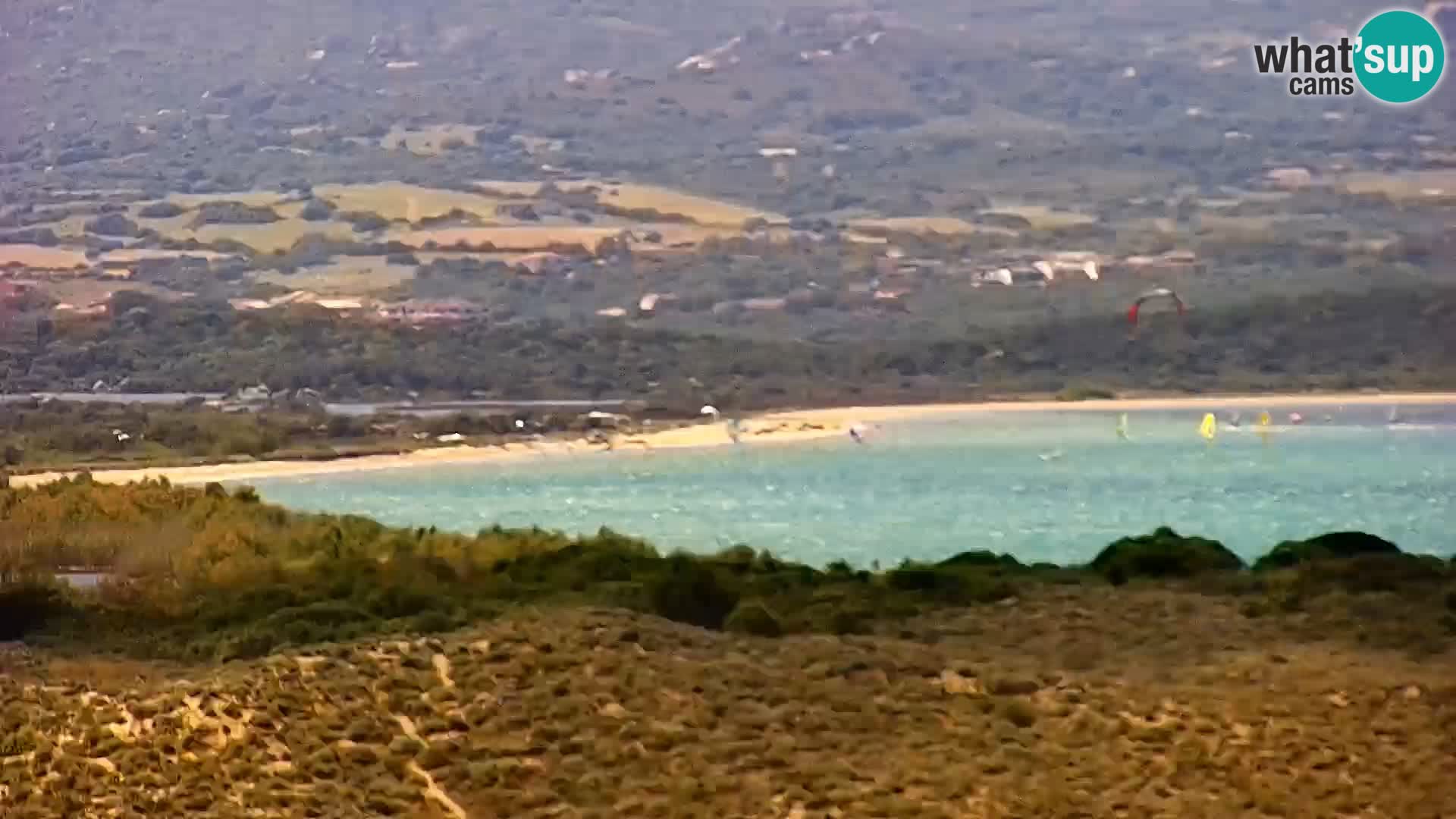 Camera en vivo Porto Pollo playa Cerdeña