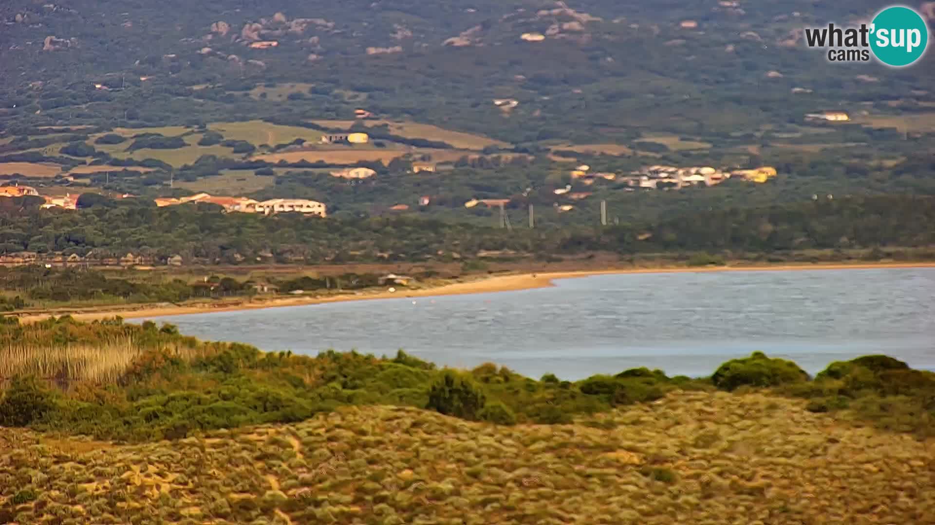 Live webcam Porto Pollo beach | Sardinia