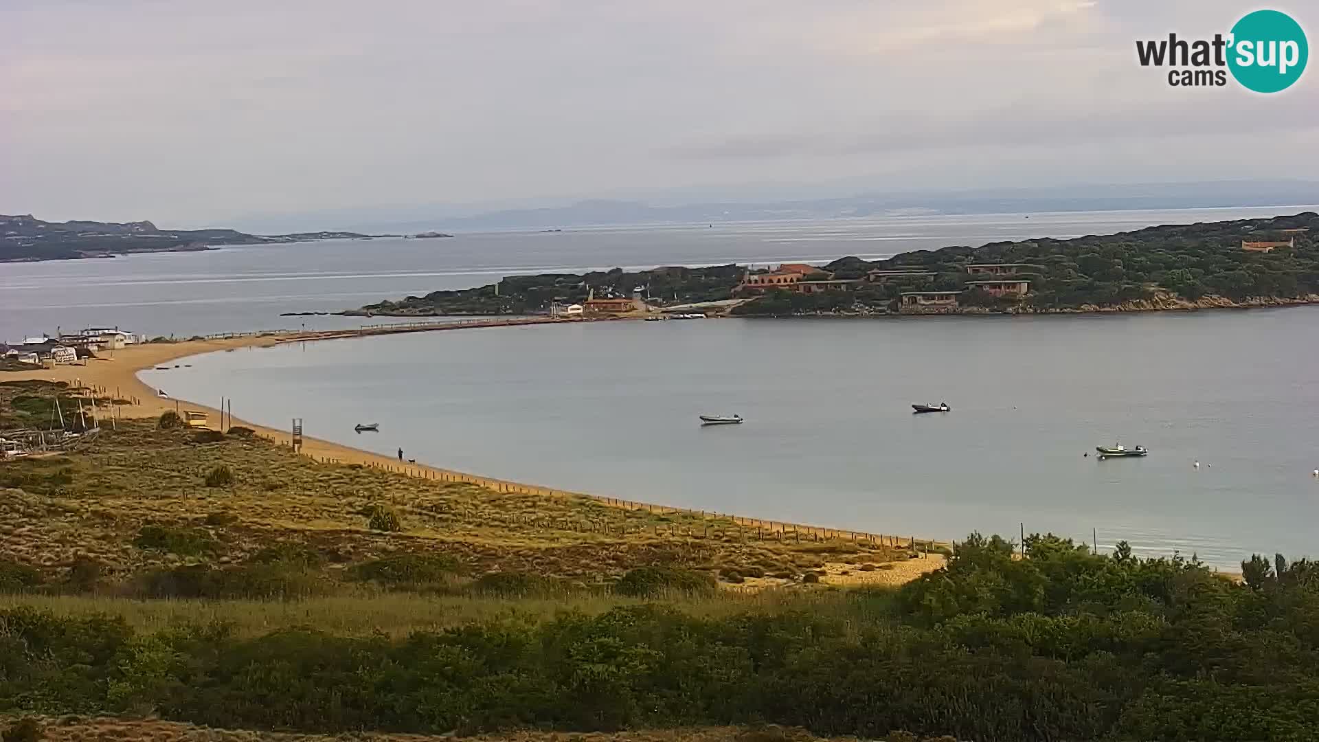 Webcam Porto Pollo le Dune | spiaggia Sardegna