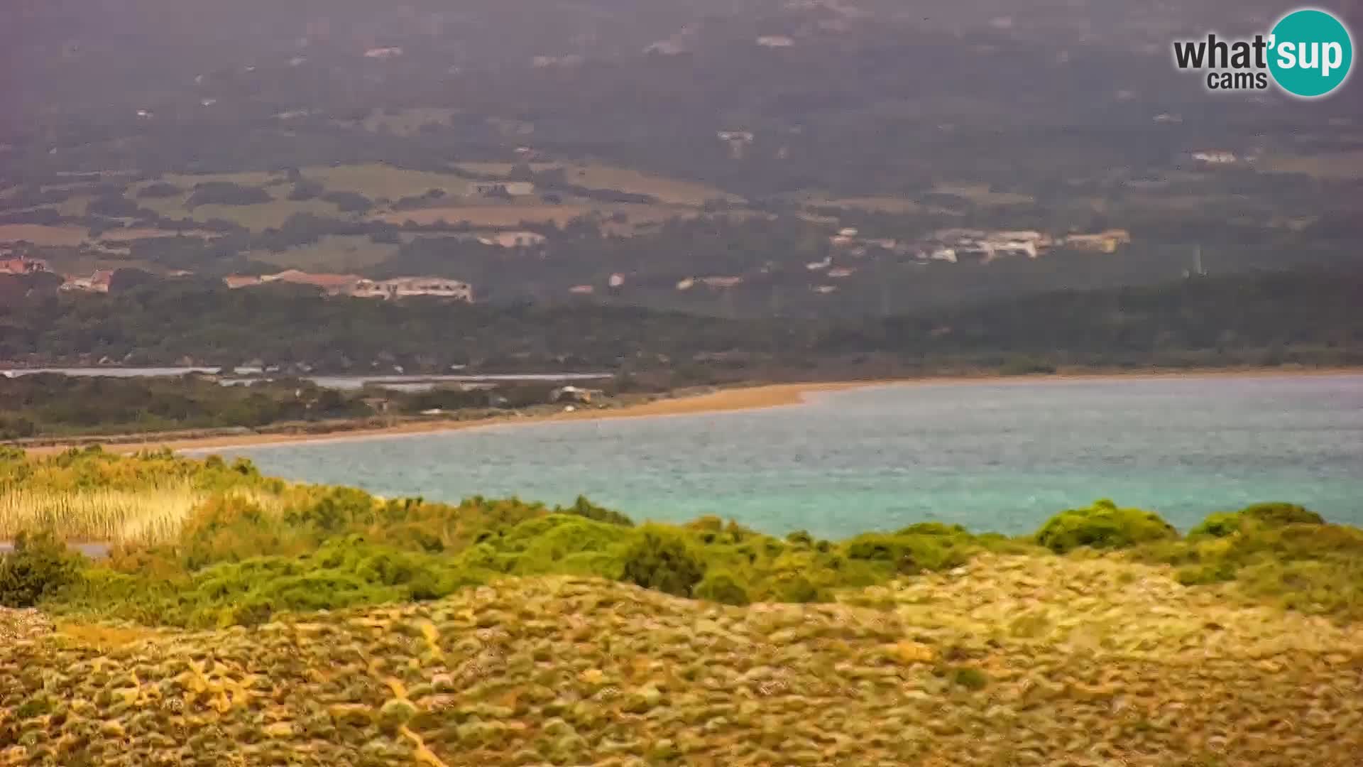 Camera en vivo Porto Pollo playa Cerdeña