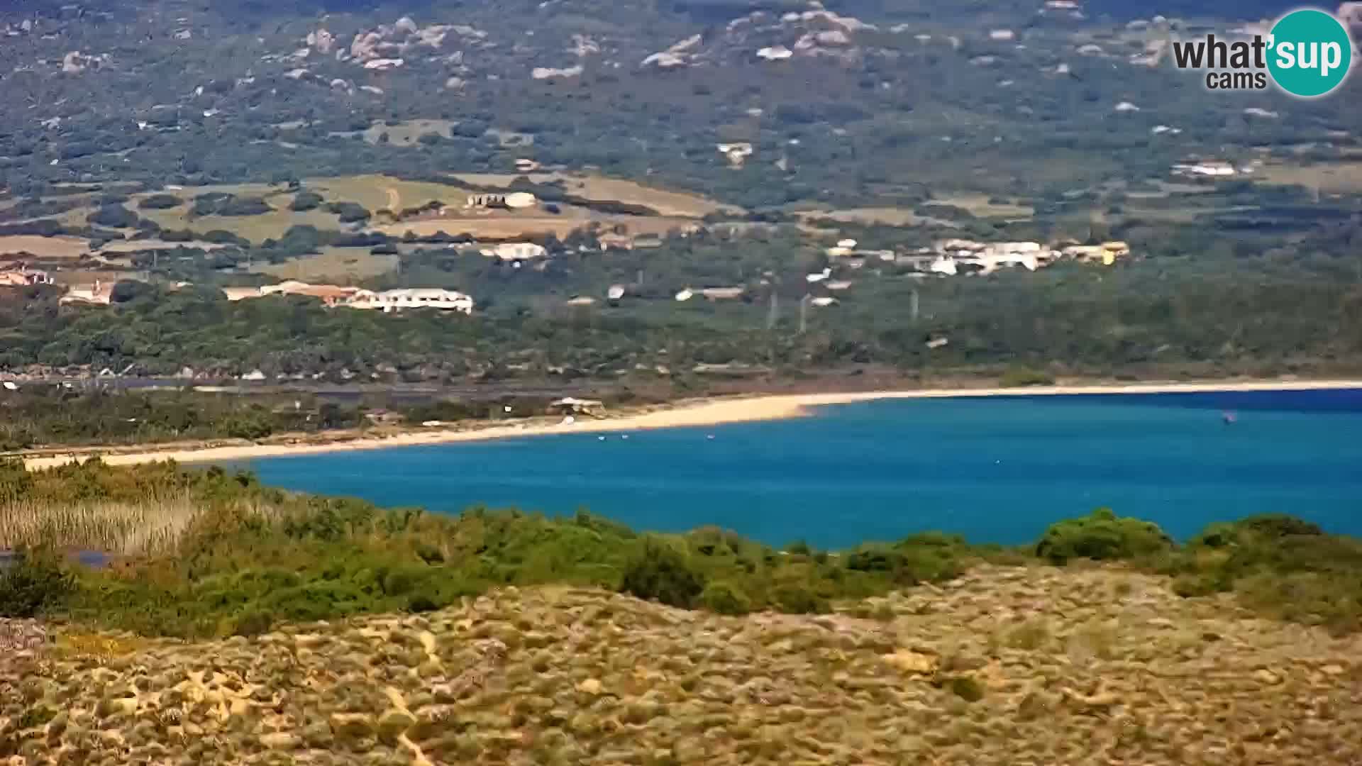 Live webcam Porto Pollo beach Sardinia livecam