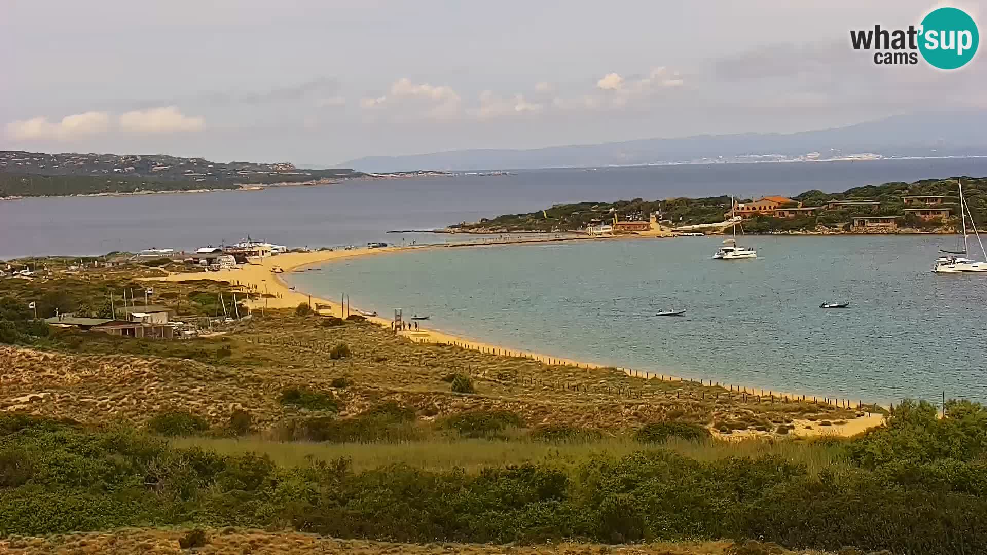Camera en vivo Porto Pollo playa Cerdeña