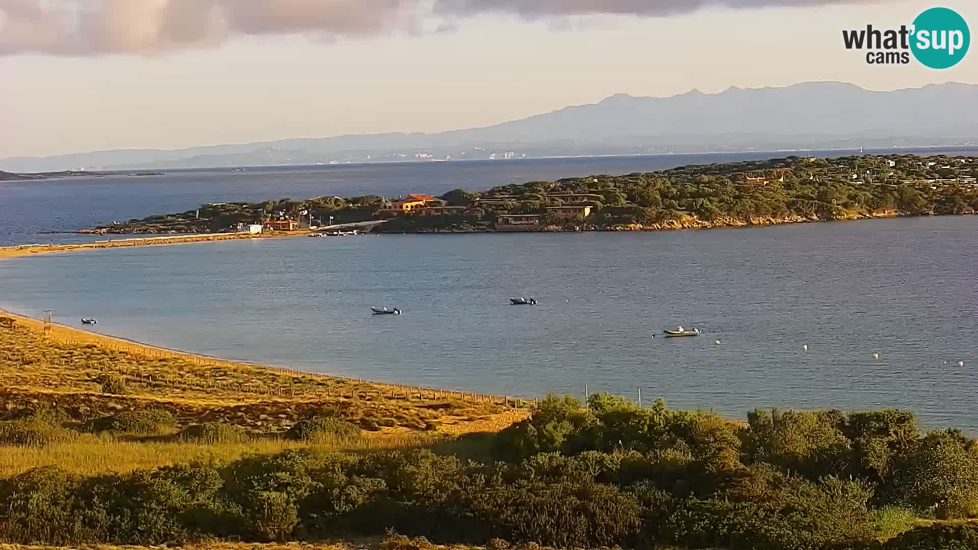 Live webcam Porto Pollo beach | Sardinia