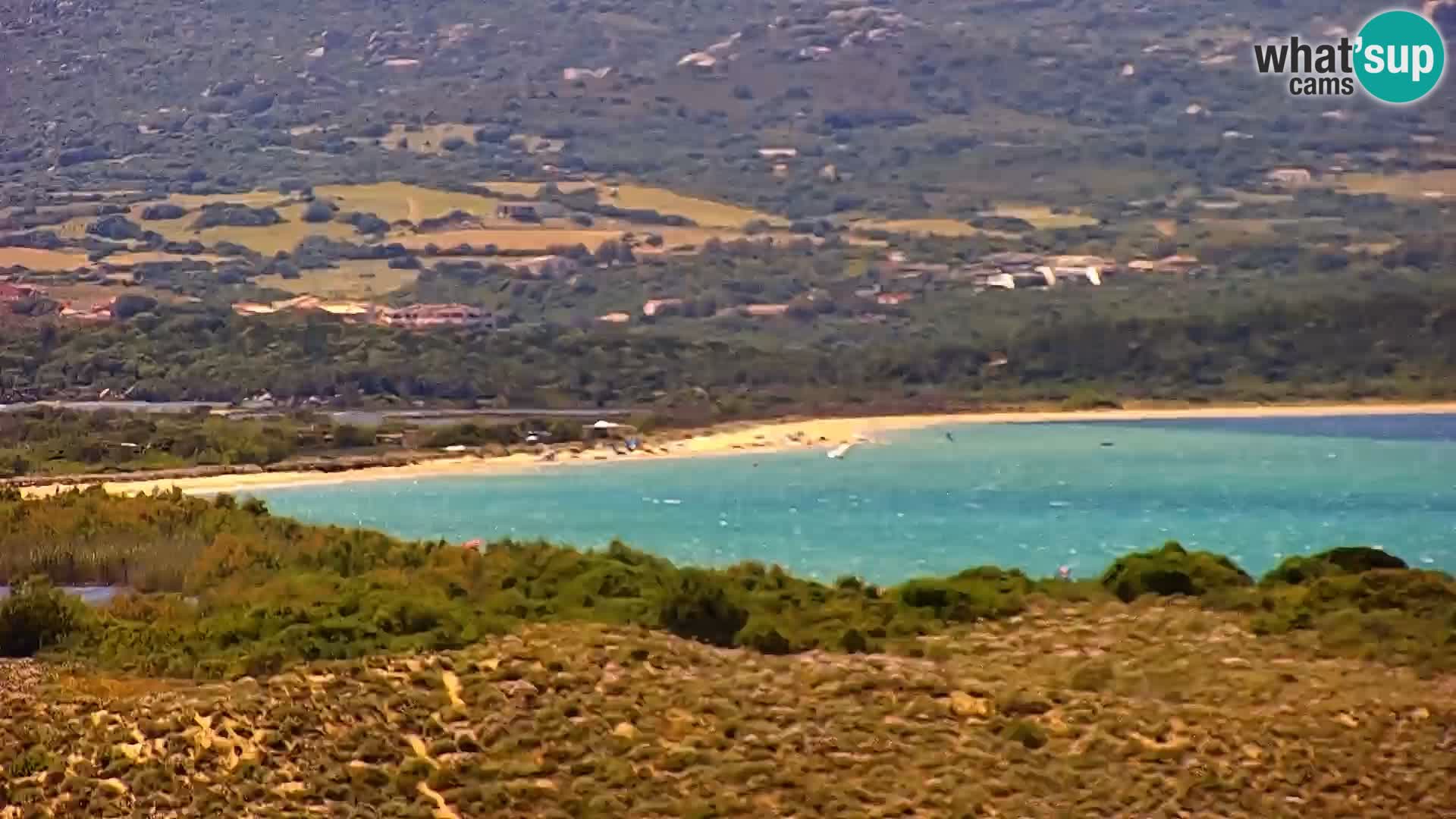 Webcam Porto Pollo spiaggia Sardegna livecam