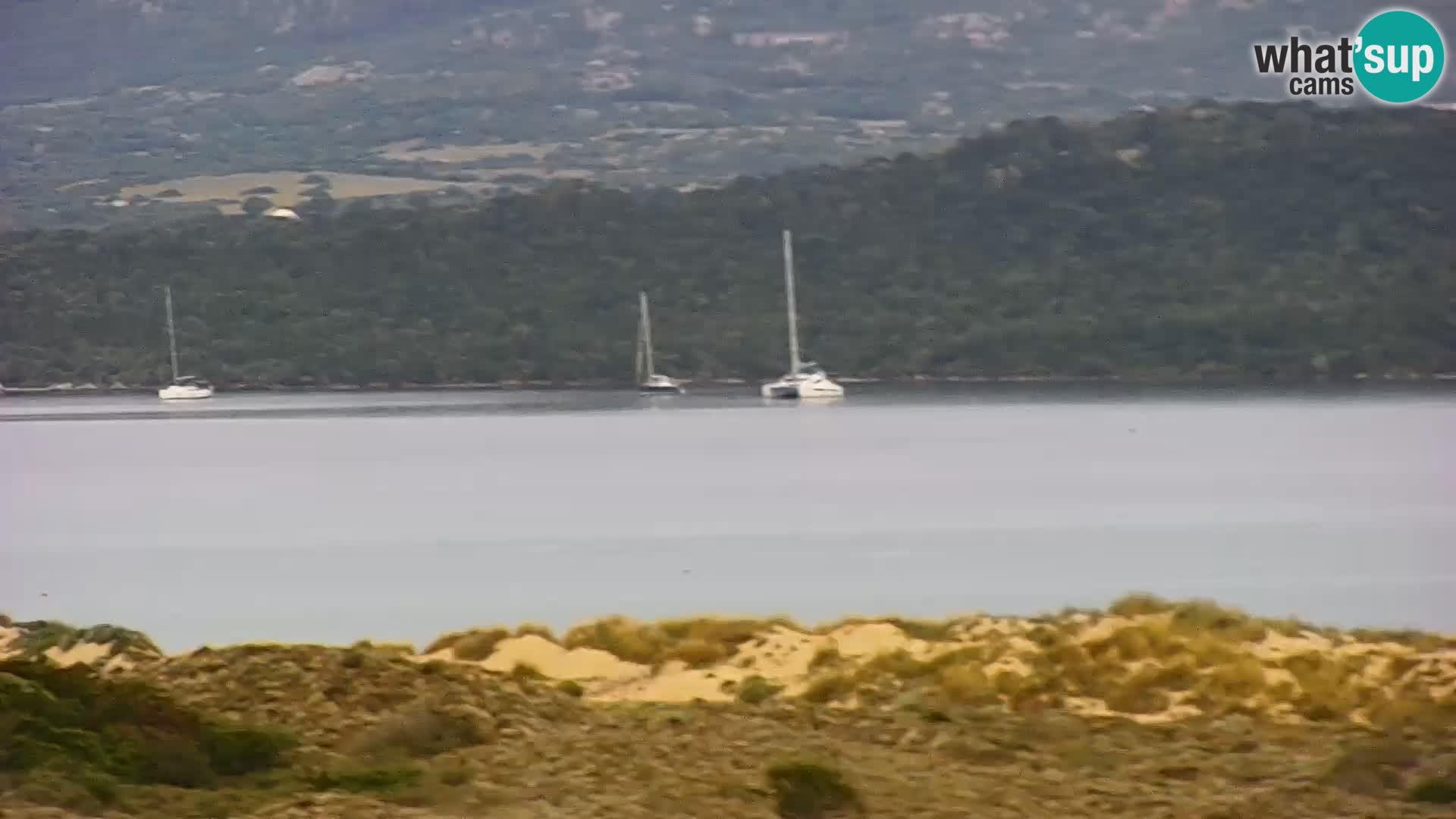 Live webcam Porto Pollo beach | Sardinia