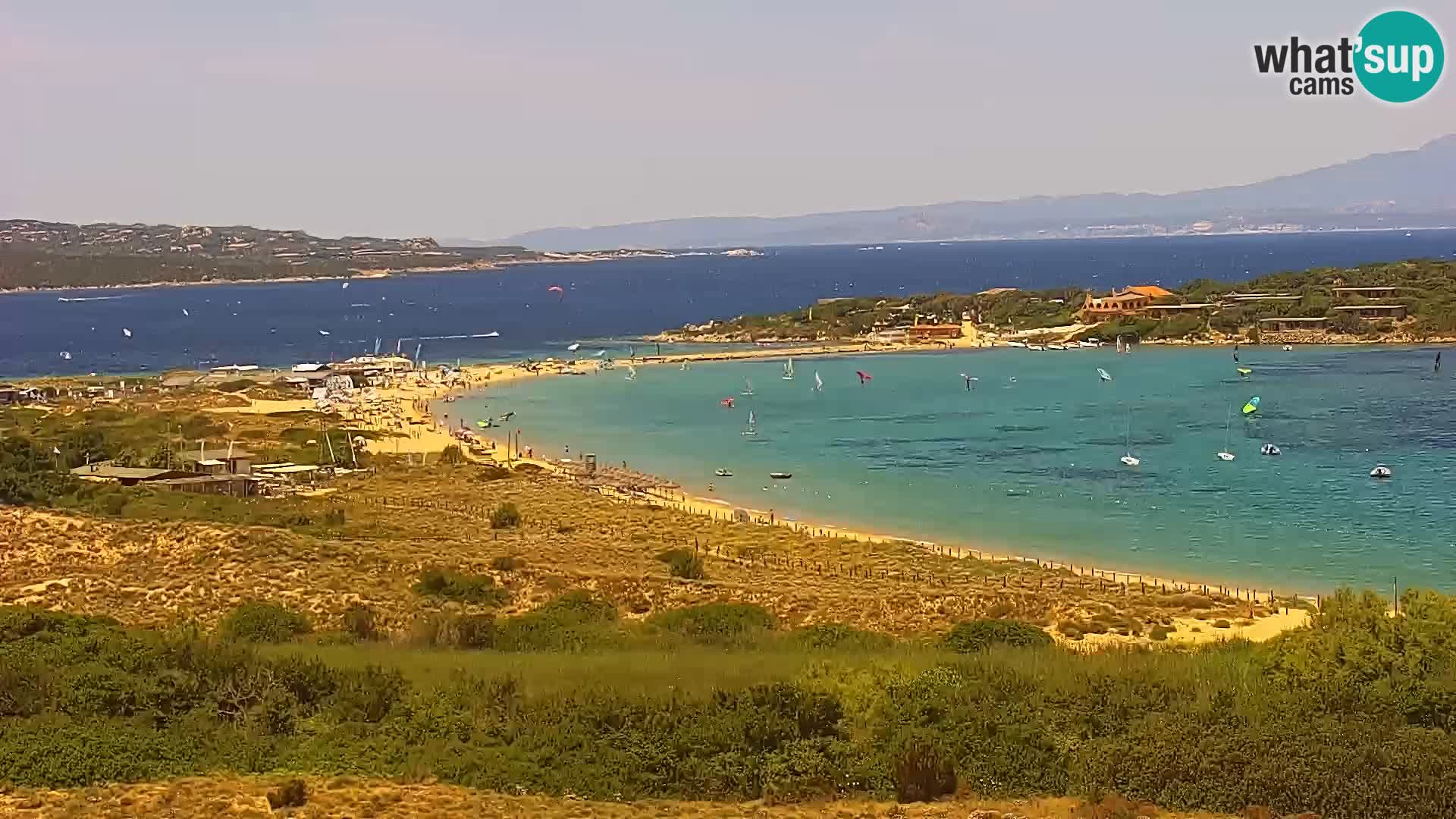 Camera en vivo Porto Pollo playa Cerdeña