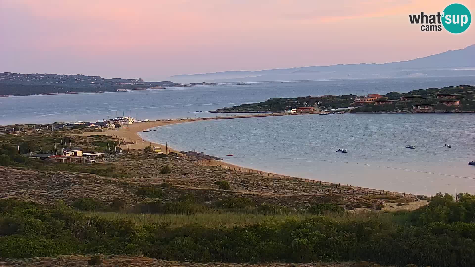 Camera en vivo Porto Pollo playa Cerdeña