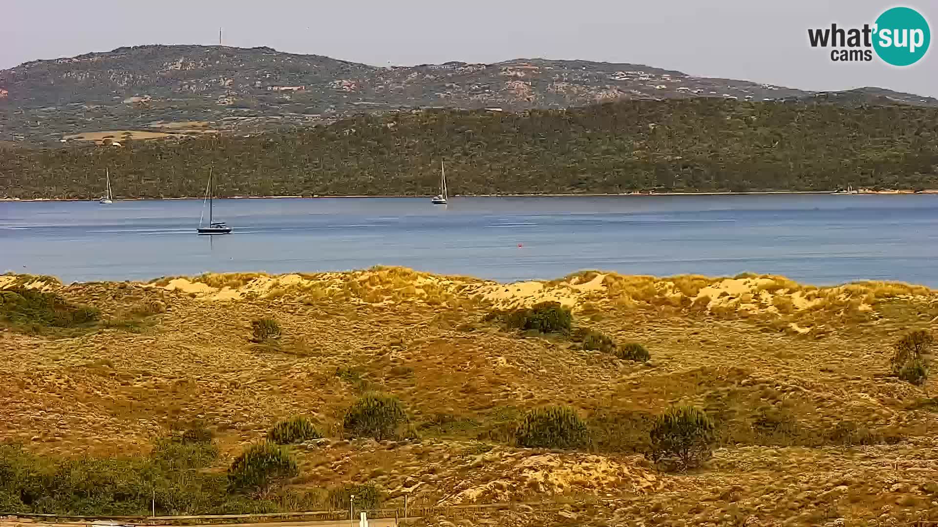 Camera en vivo Porto Pollo playa Cerdeña