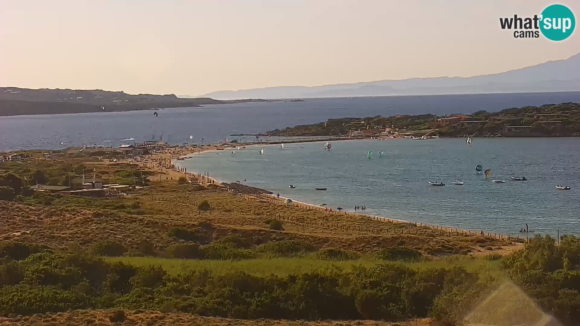 Camera en vivo Porto Pollo playa Cerdeña