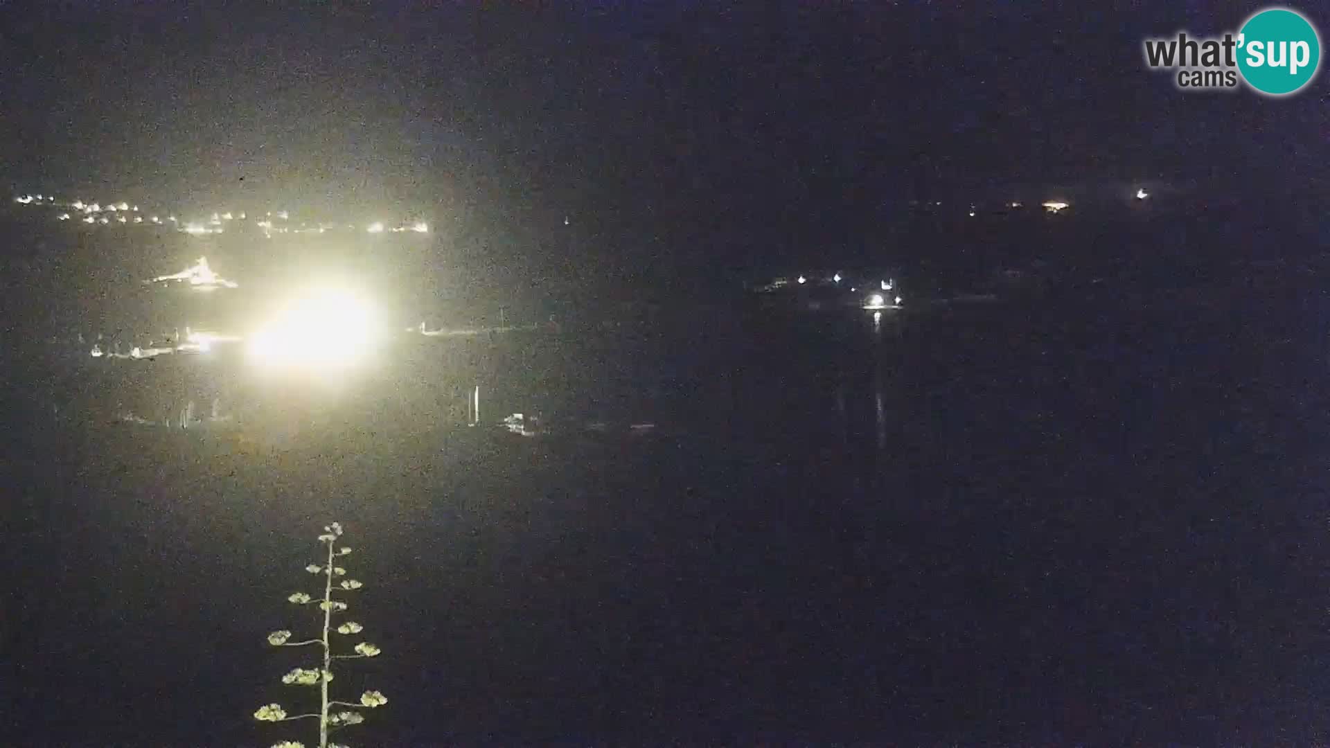 Live webcam Porto Pollo beach | Sardinia