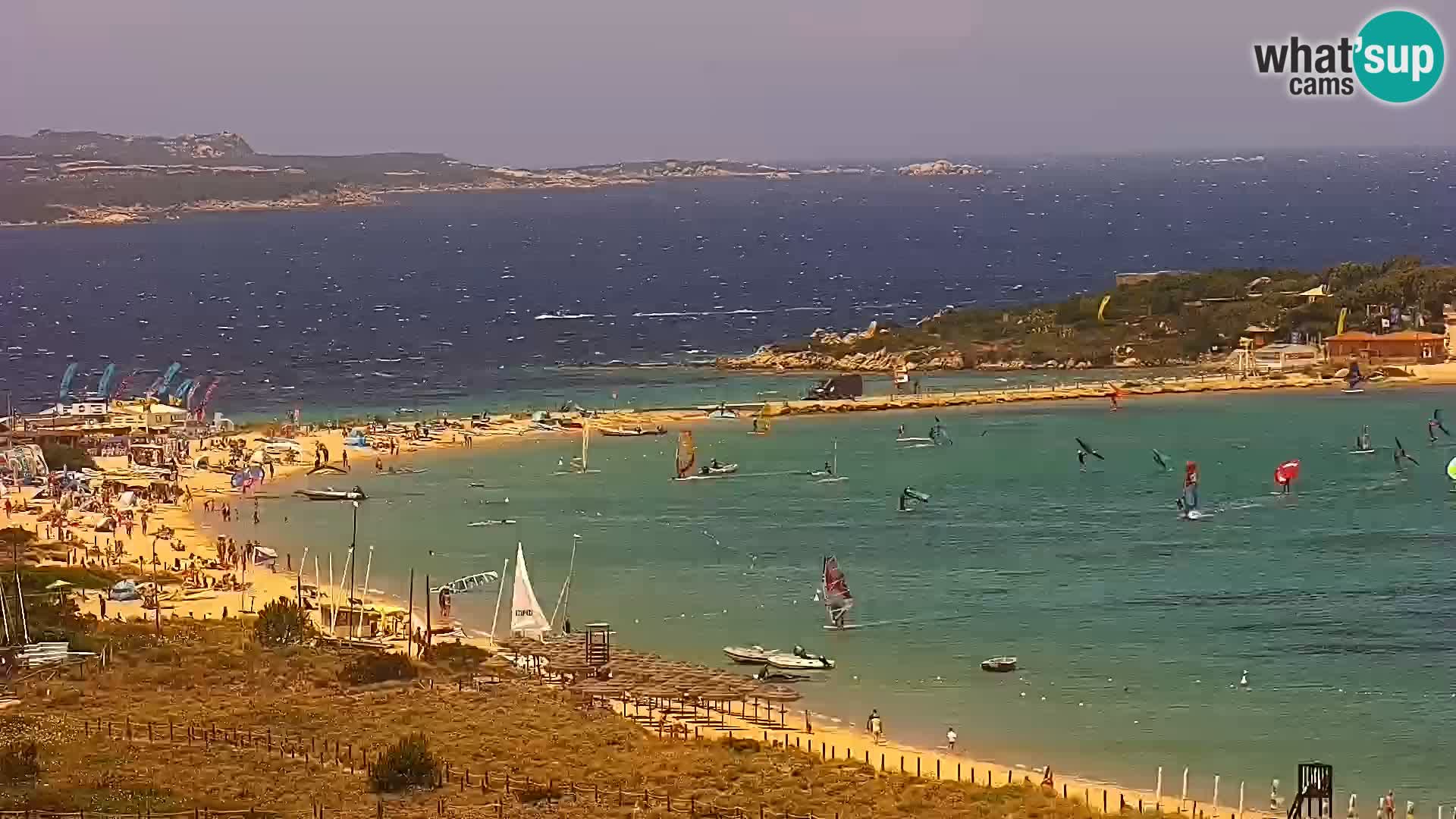 Camera en vivo Porto Pollo playa Cerdeña