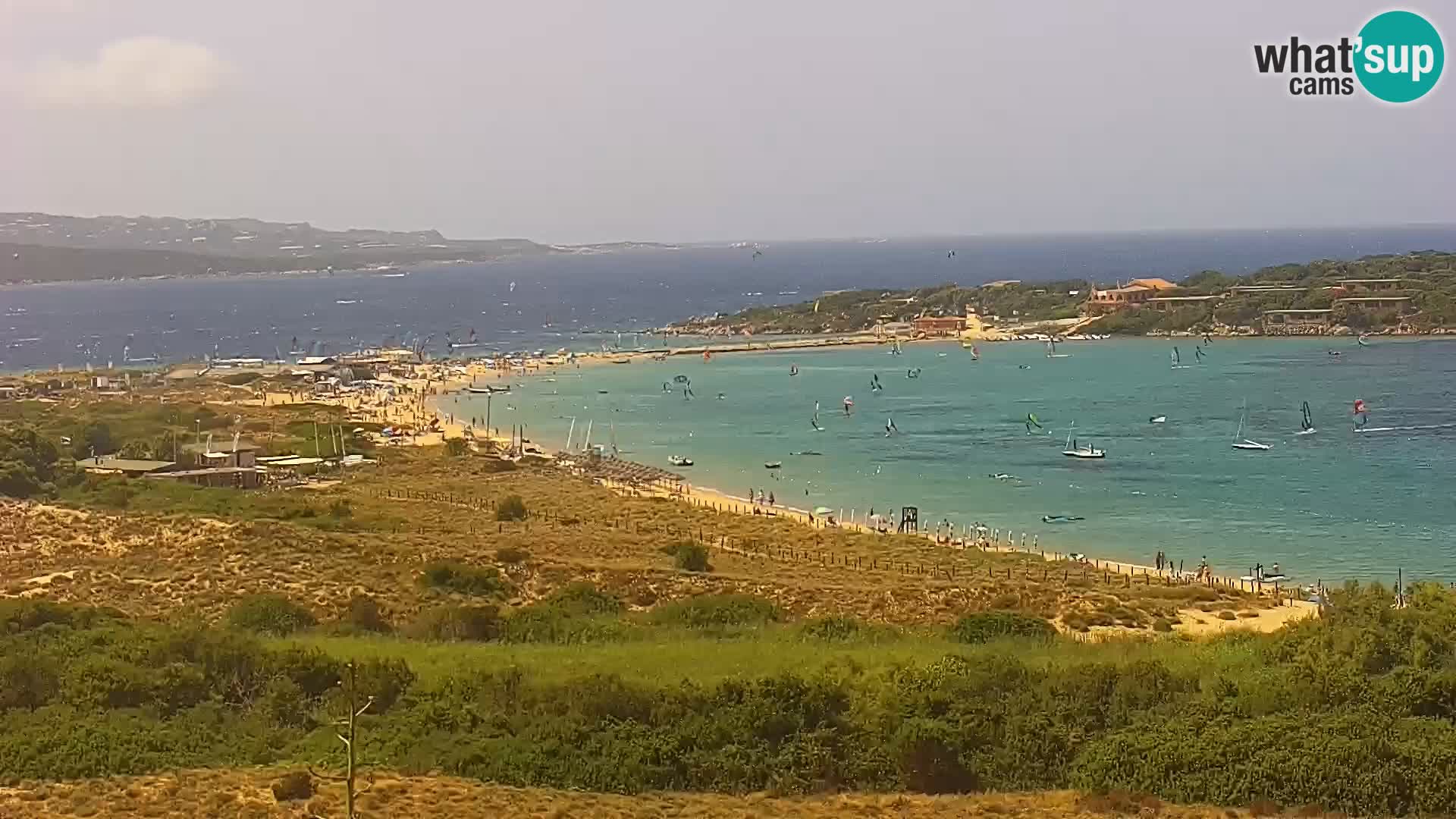 Camera en vivo Porto Pollo playa Cerdeña
