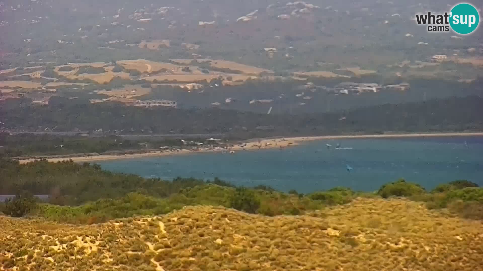 Camera en vivo Porto Pollo playa Cerdeña