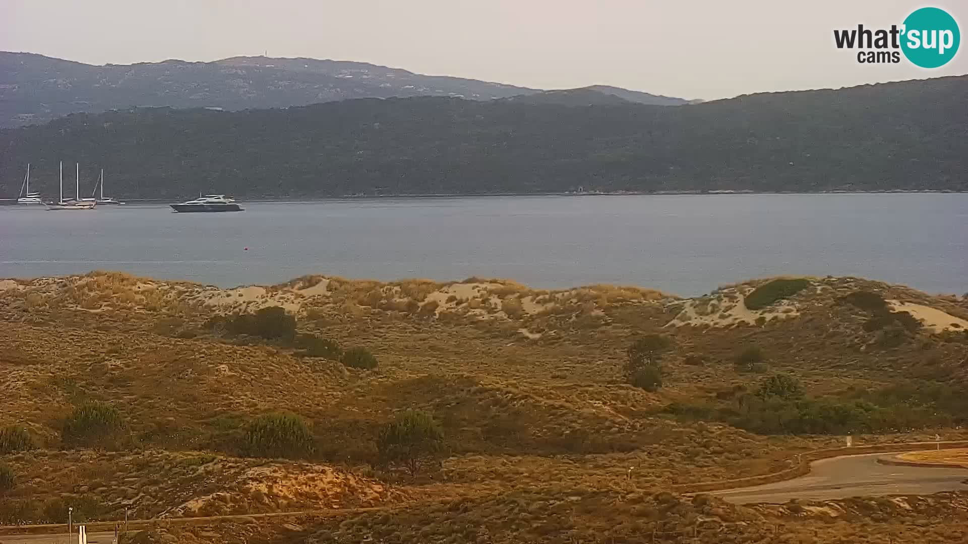 Camera en vivo Porto Pollo playa Cerdeña