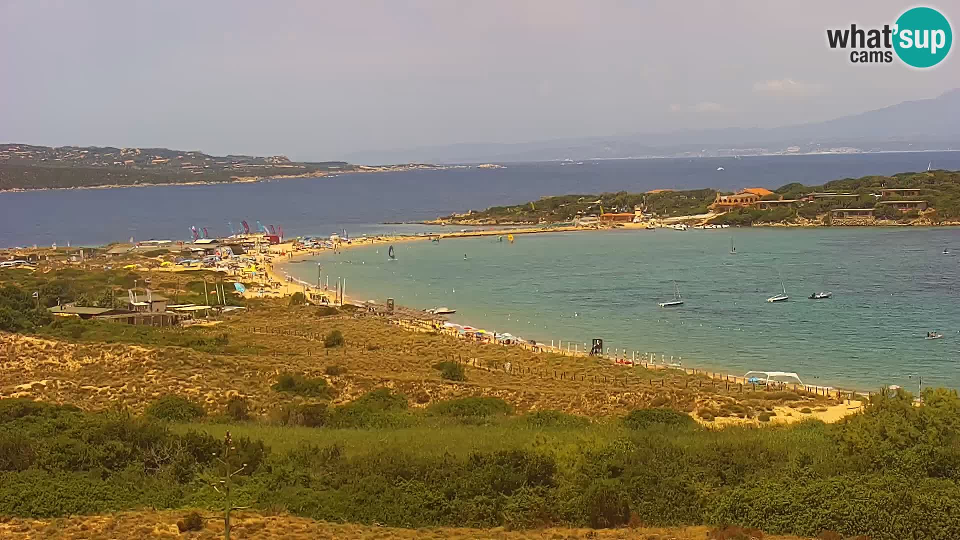Camera en vivo Porto Pollo playa Cerdeña