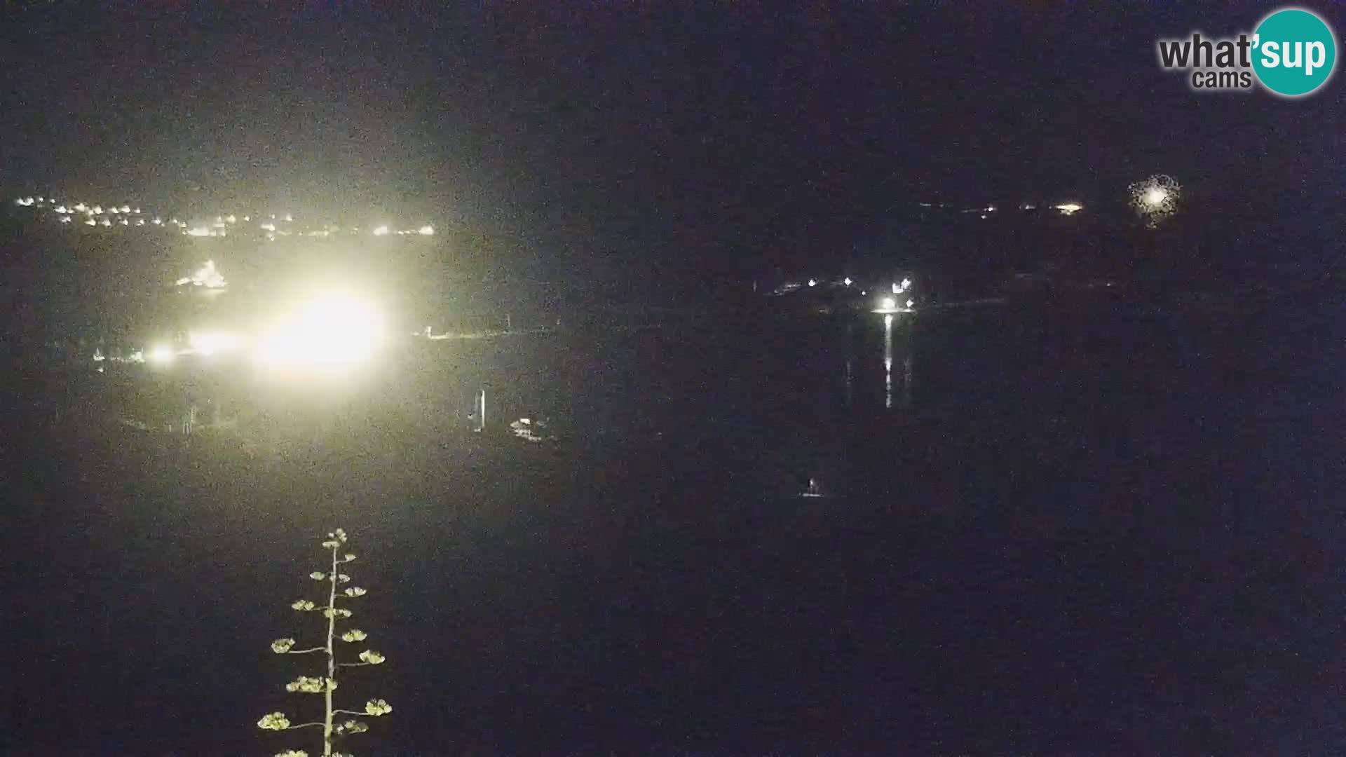 Camera en vivo Porto Pollo playa Cerdeña