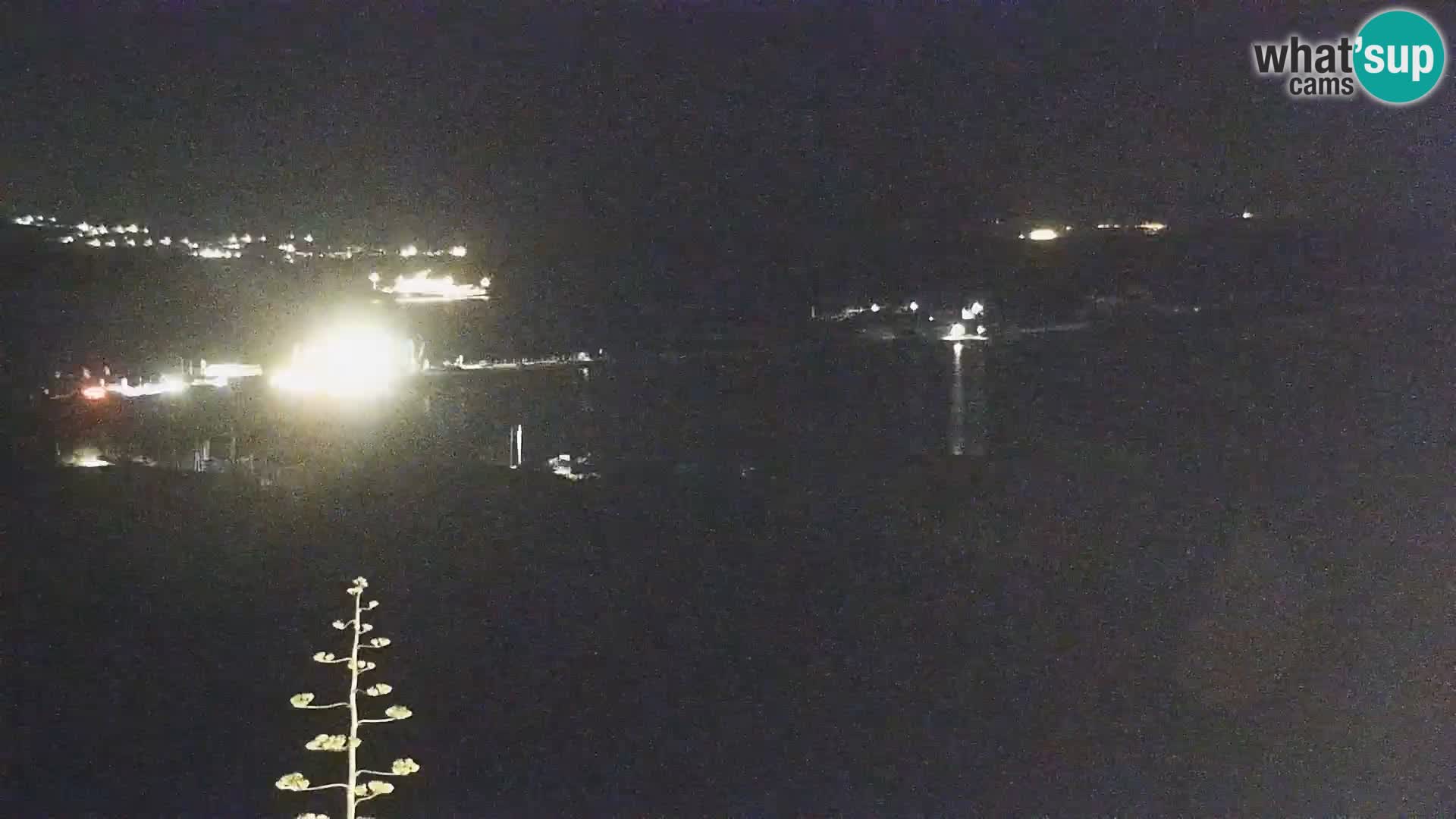 Live webcam Porto Pollo beach | Sardinia