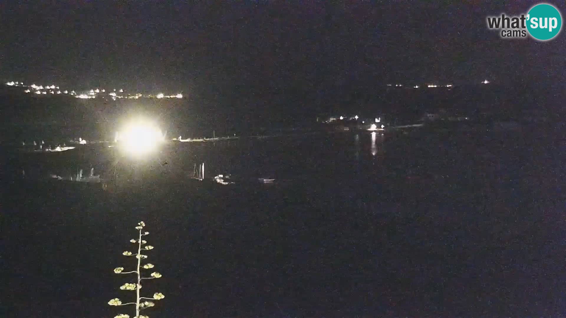 Live webcam Porto Pollo beach | Sardinia