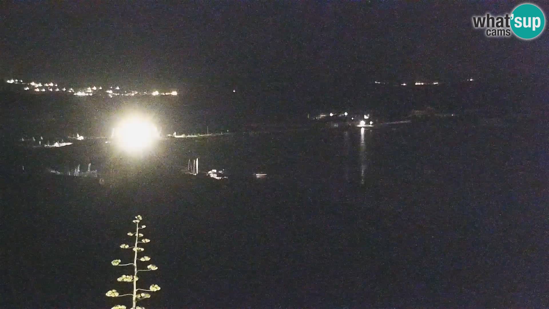 Live webcam Porto Pollo beach | Sardinia