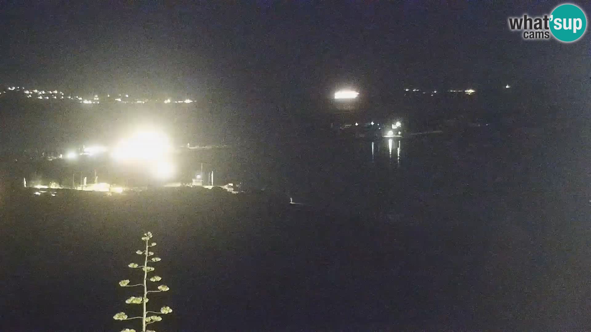 Live webcam Porto Pollo beach | Sardinia