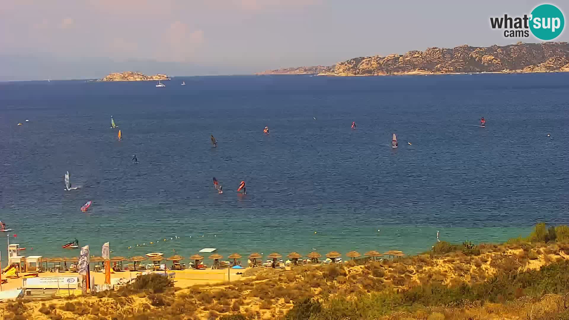 Camera en vivo Porto Pollo playa Cerdeña