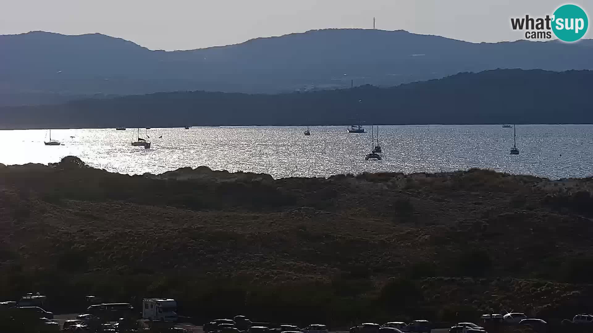Camera en vivo Porto Pollo playa Cerdeña