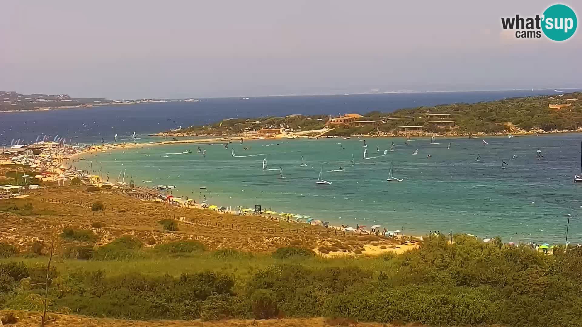 Camera en vivo Porto Pollo playa Cerdeña