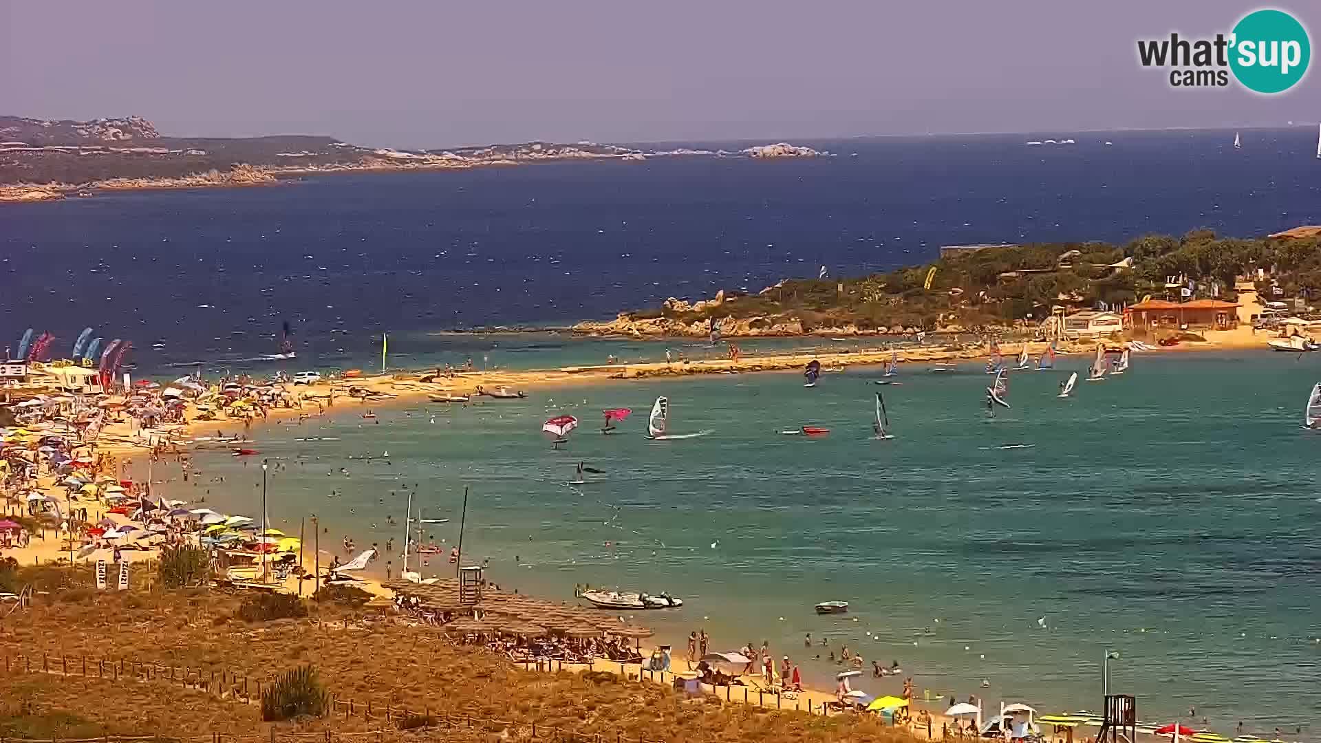 Camera en vivo Porto Pollo playa Cerdeña