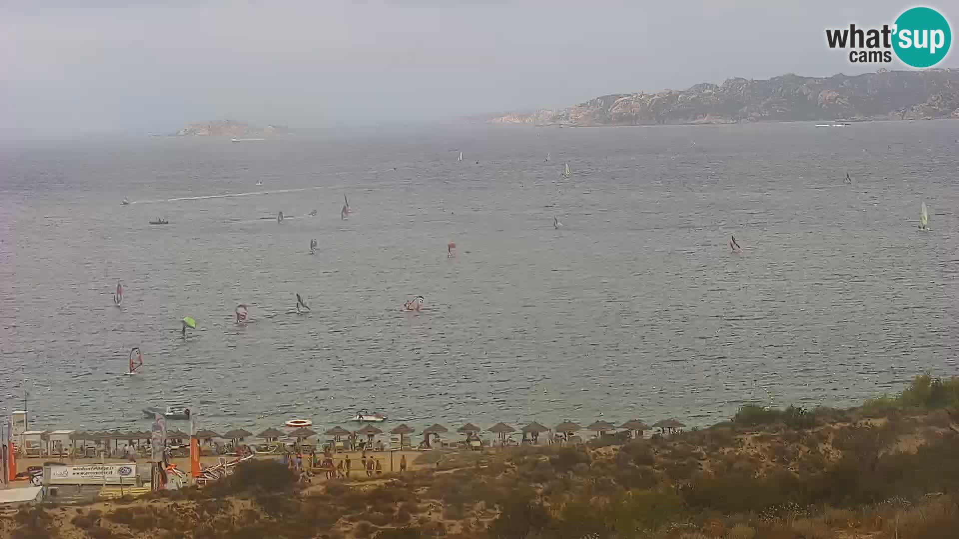 Camera en vivo Porto Pollo playa Cerdeña