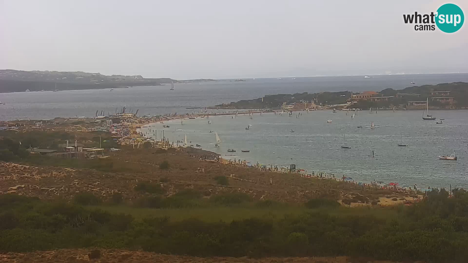 Camera en vivo Porto Pollo playa Cerdeña