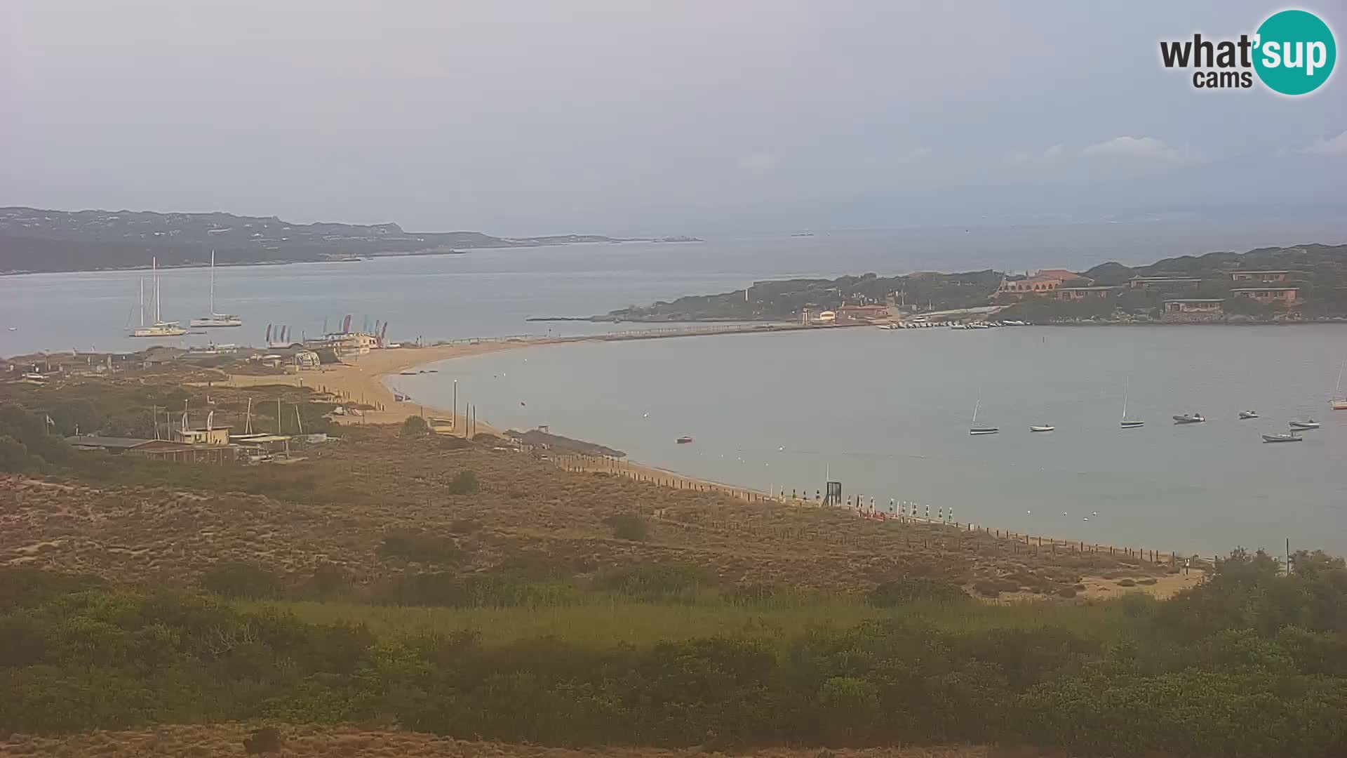 Camera en vivo Porto Pollo playa Cerdeña