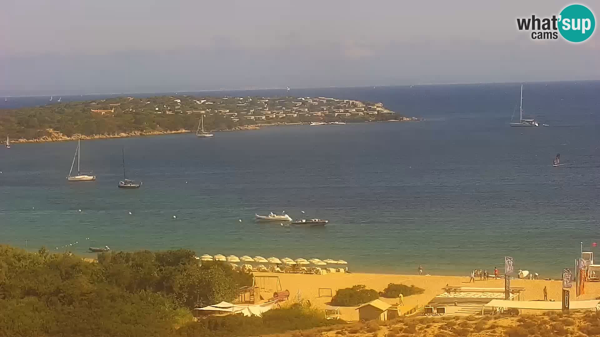 Camera en vivo Porto Pollo playa Cerdeña