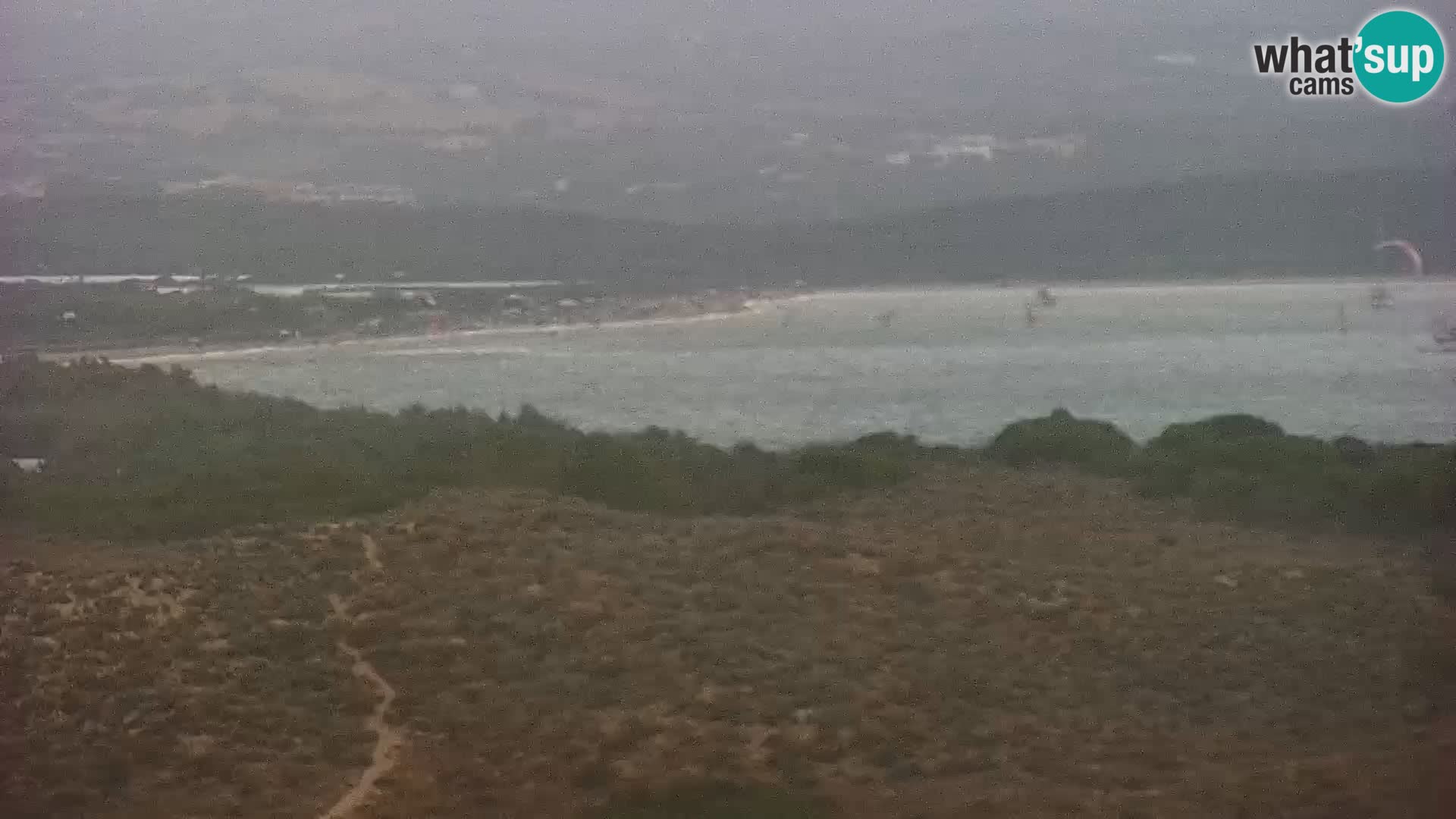 Camera en vivo Porto Pollo playa Cerdeña