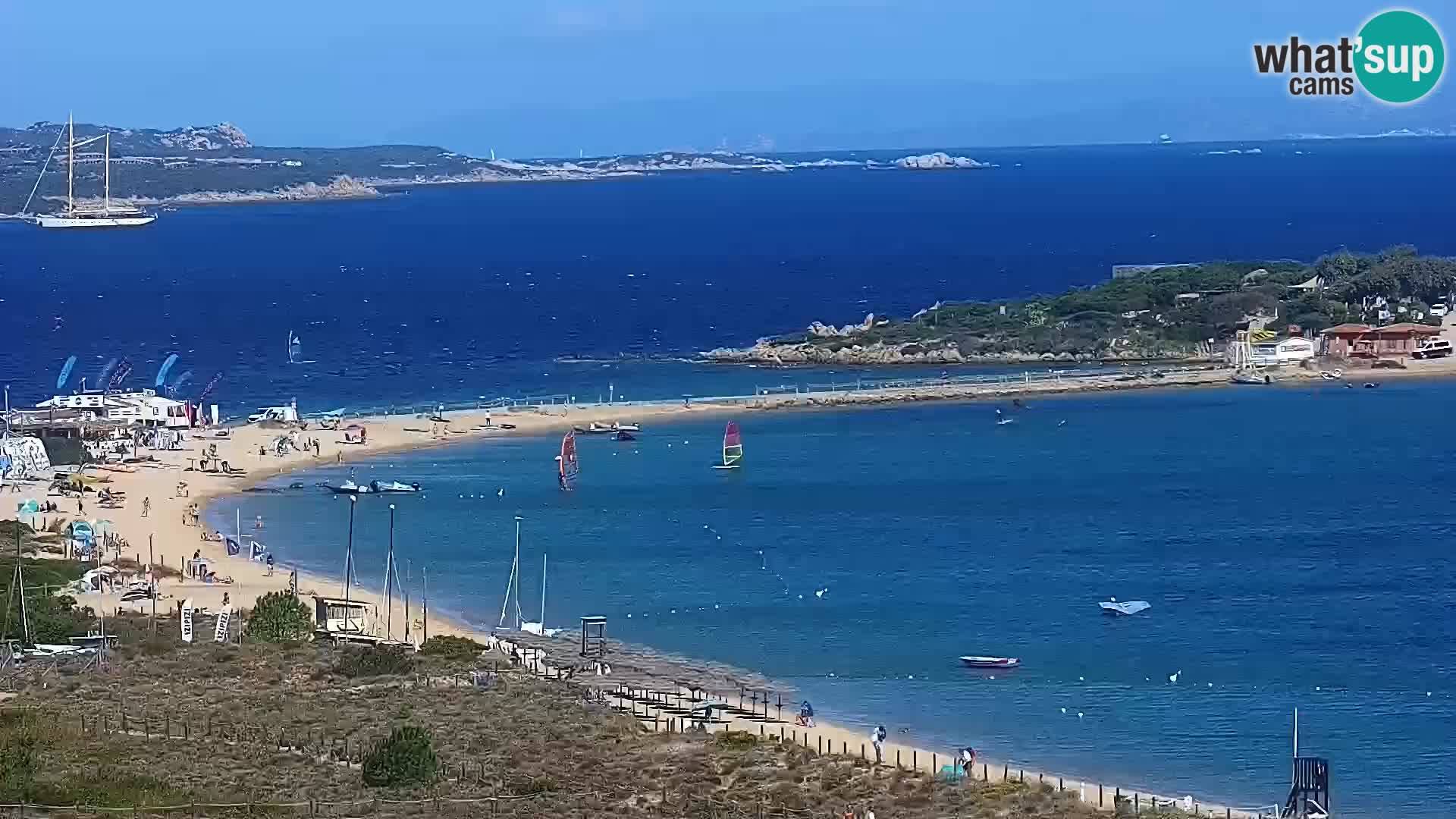 Camera en vivo Porto Pollo playa Cerdeña