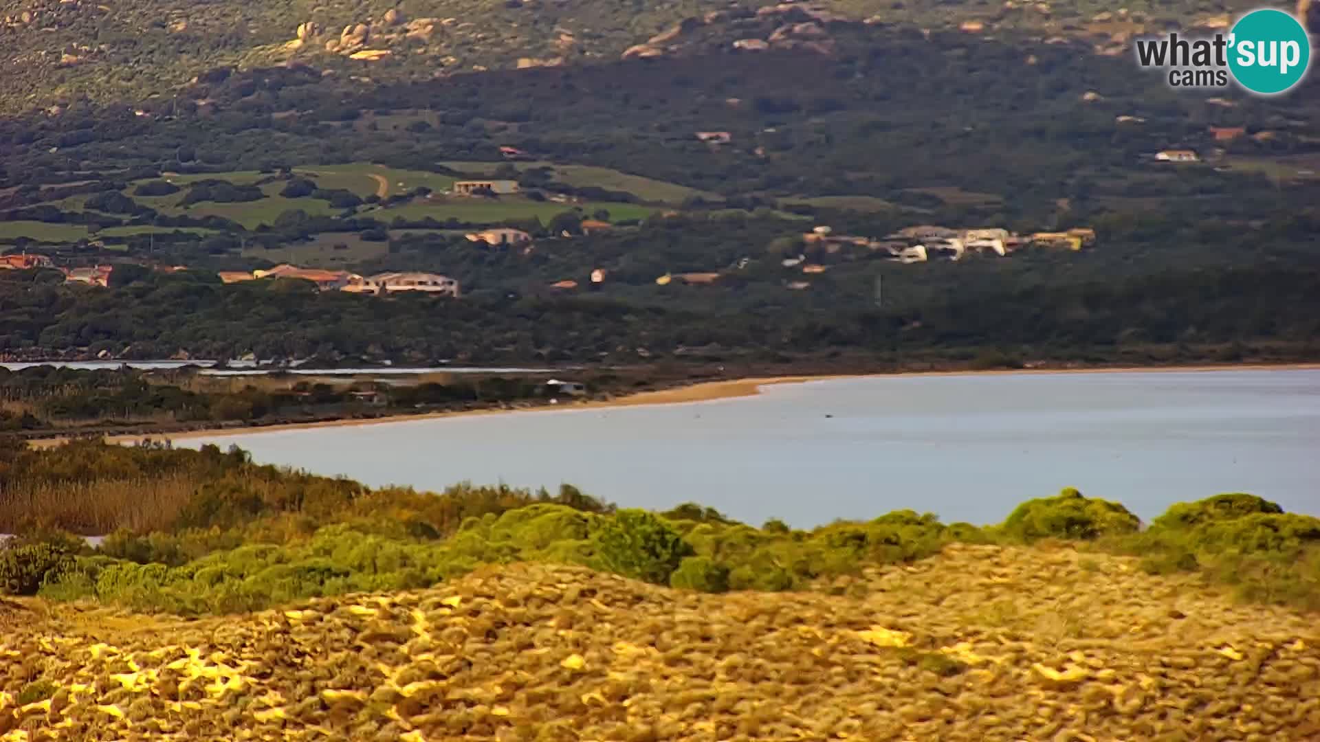 Spletna kamera plaža Porto Pollo Sardinija v živo