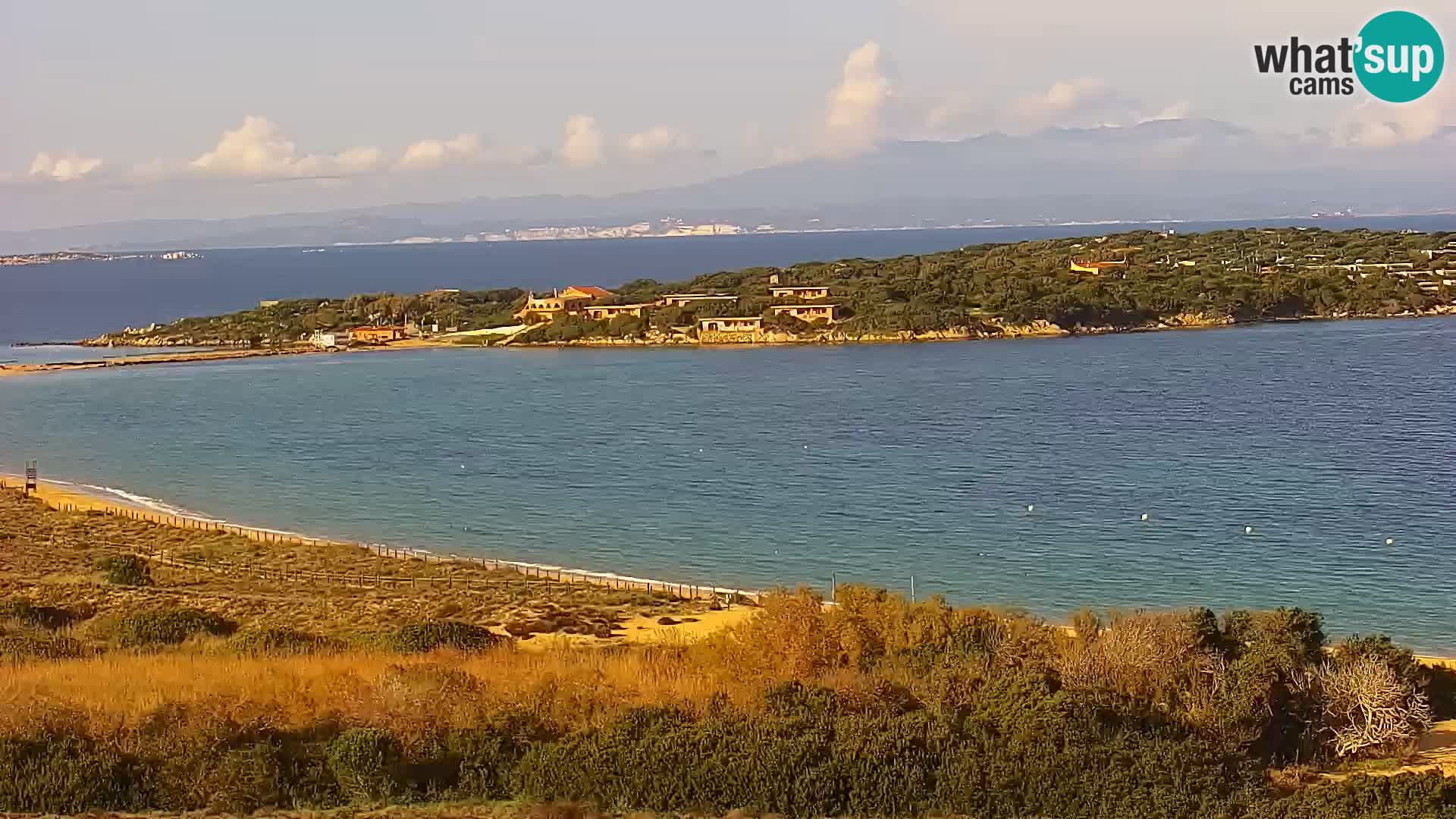 Camera en vivo Porto Pollo playa Cerdeña