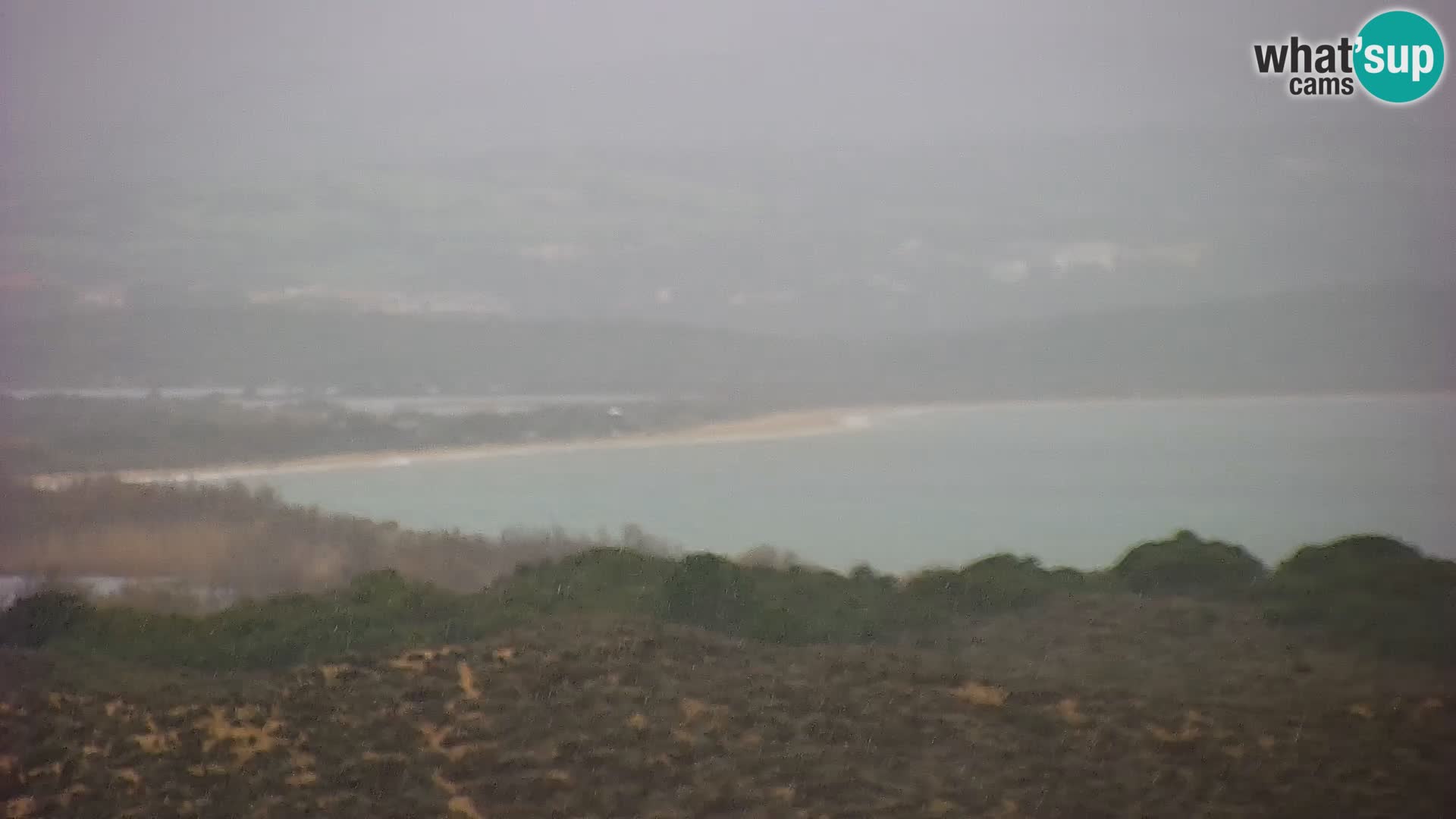 Camera en vivo Porto Pollo playa Cerdeña