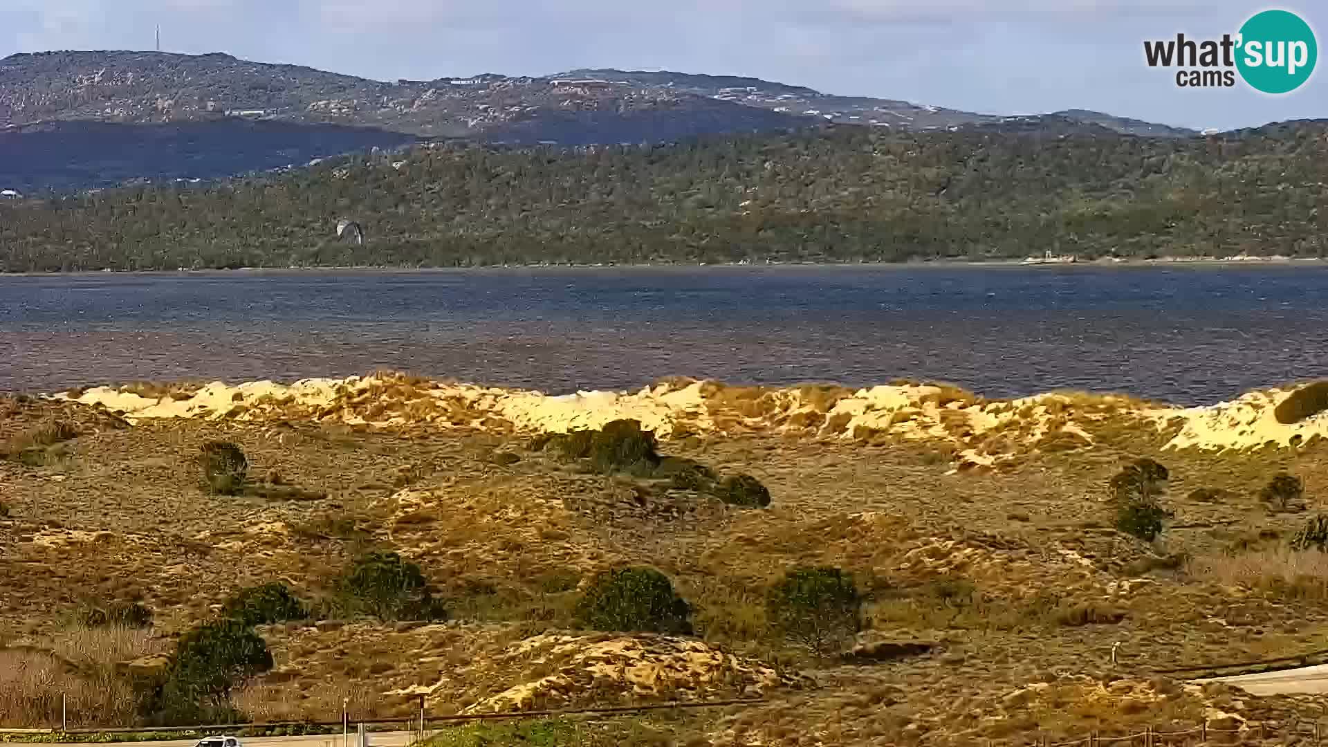 Camera en vivo Porto Pollo playa Cerdeña