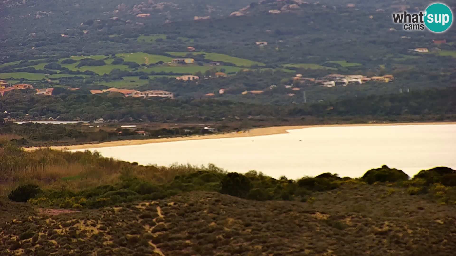 Live webcam Porto Pollo beach | Sardinia