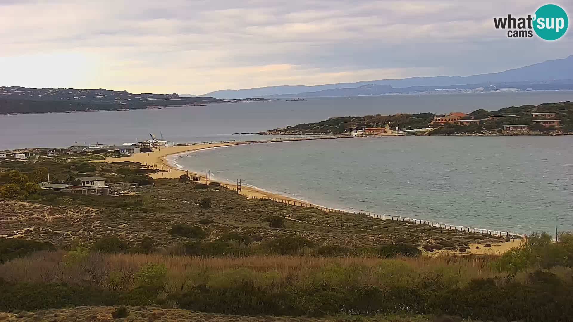Camera en vivo Porto Pollo playa Cerdeña