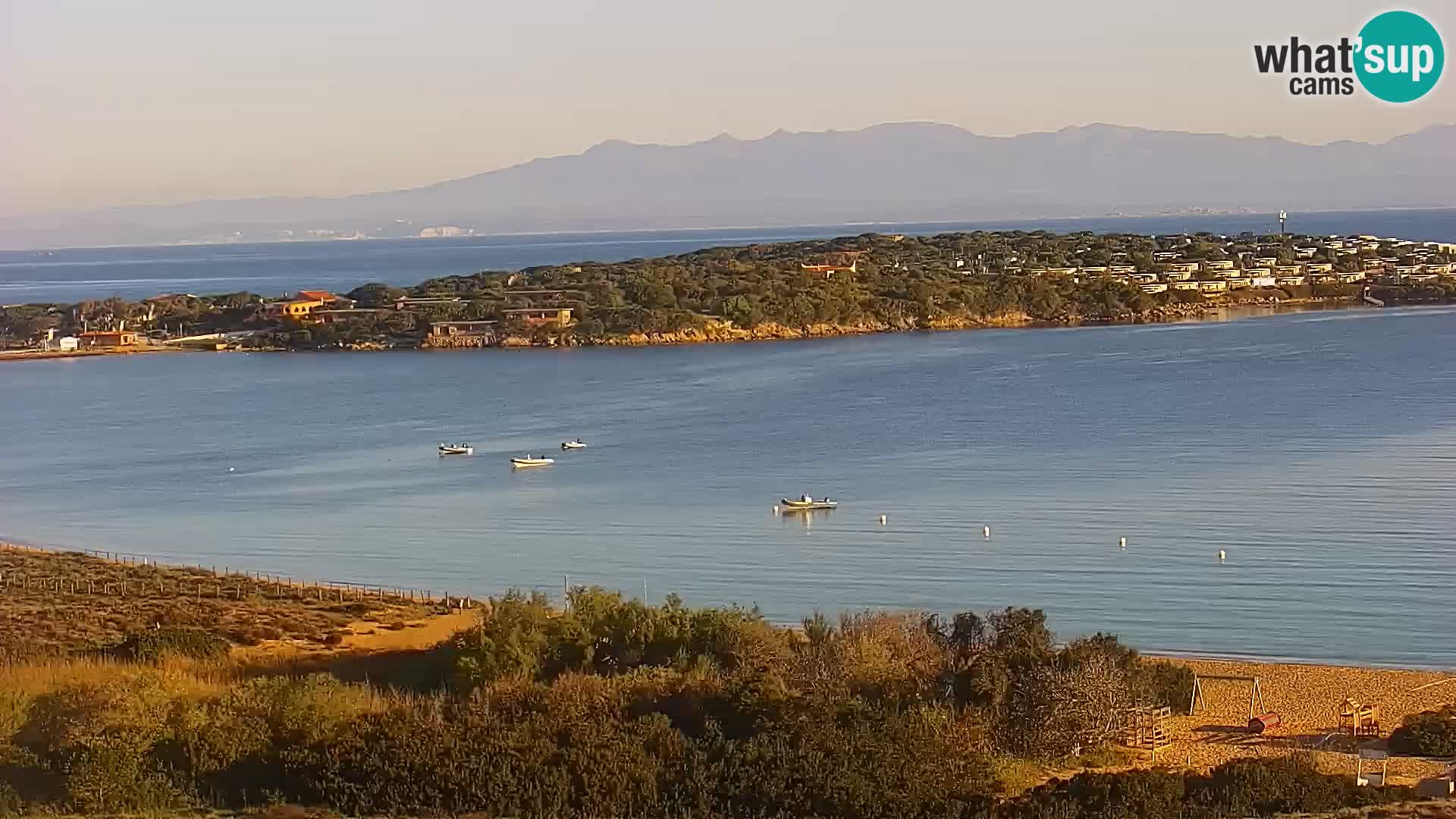 Camera en vivo Porto Pollo playa Cerdeña