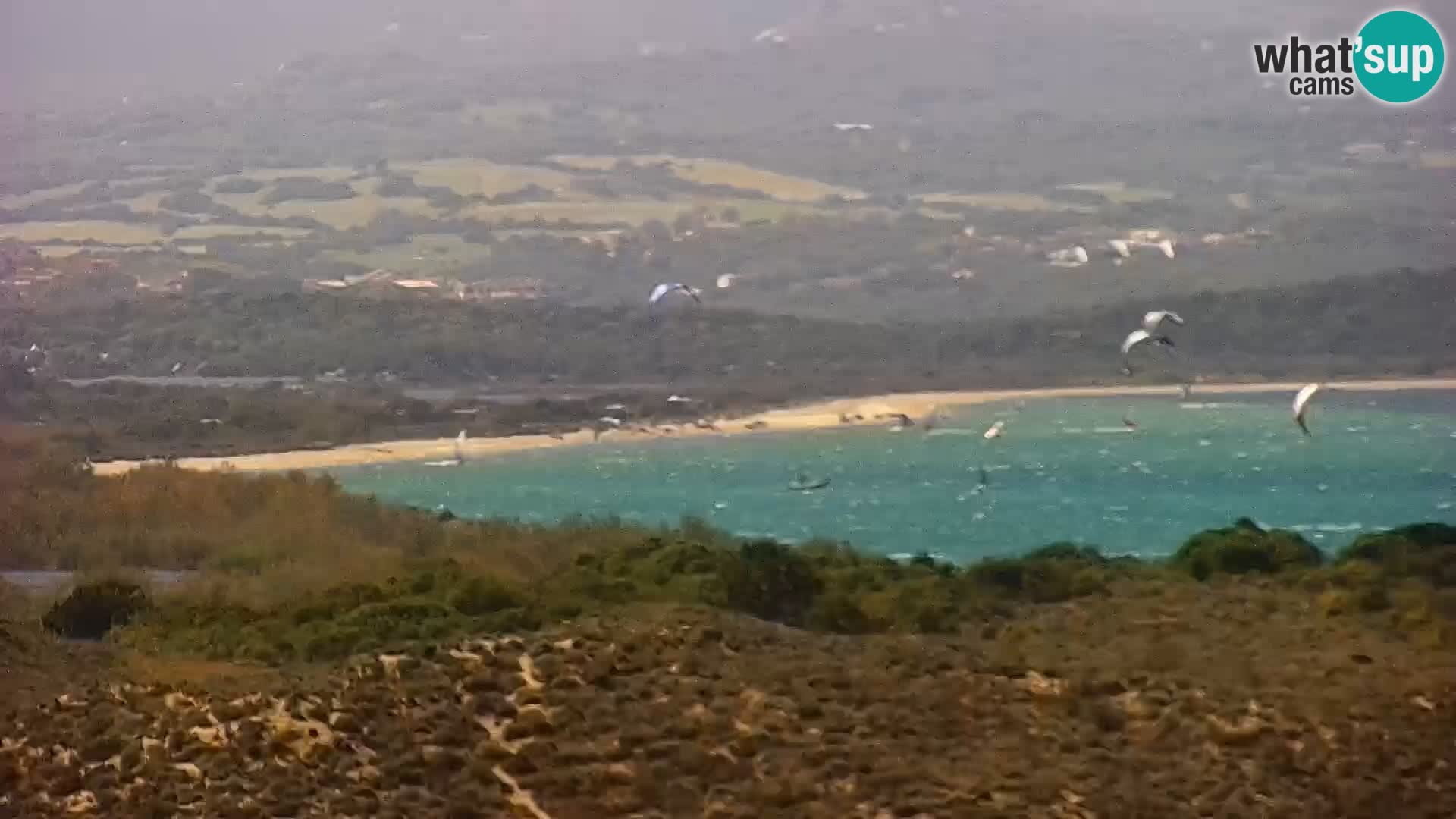 Live webcam Porto Pollo beach | Sardinia