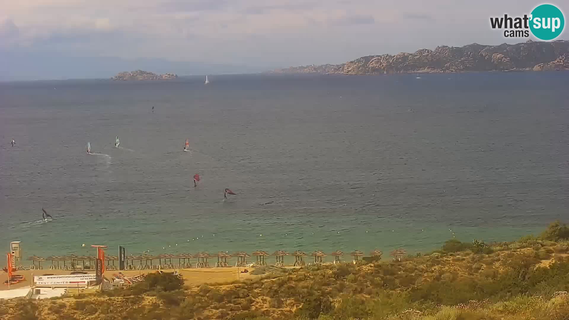 Camera en vivo Porto Pollo playa Cerdeña