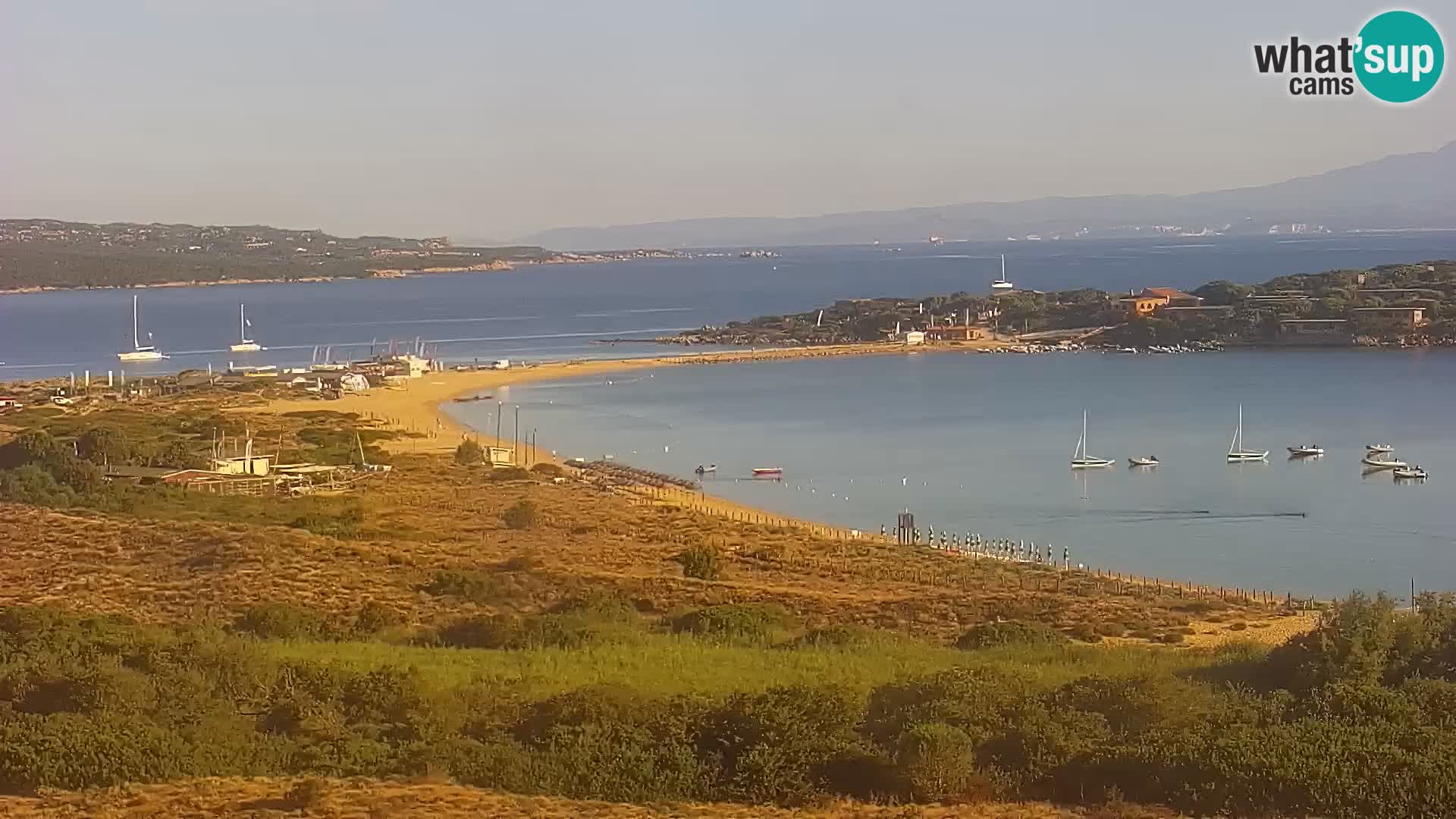 Camera en vivo Porto Pollo playa Cerdeña