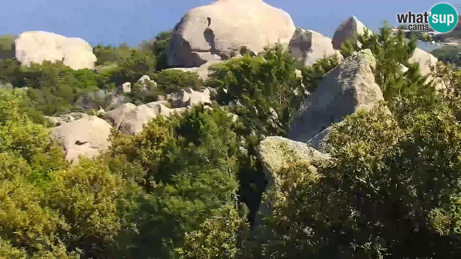Punta Sardegna kamera v živo la Vedetta – Palau – Maddalena – Sardinija