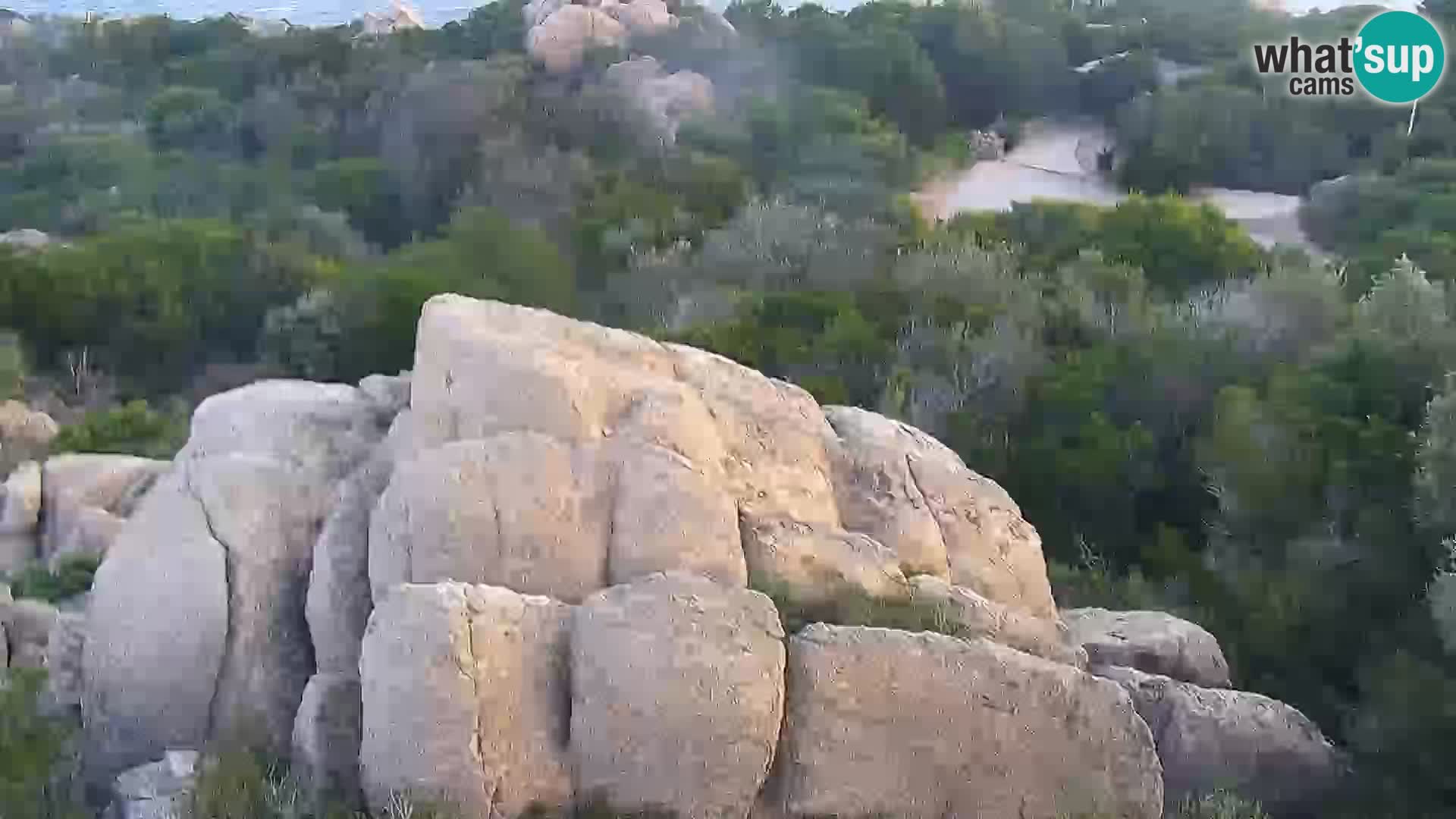 Punta Sardegna camera en vivo la Vedetta – Palau – Maddalena