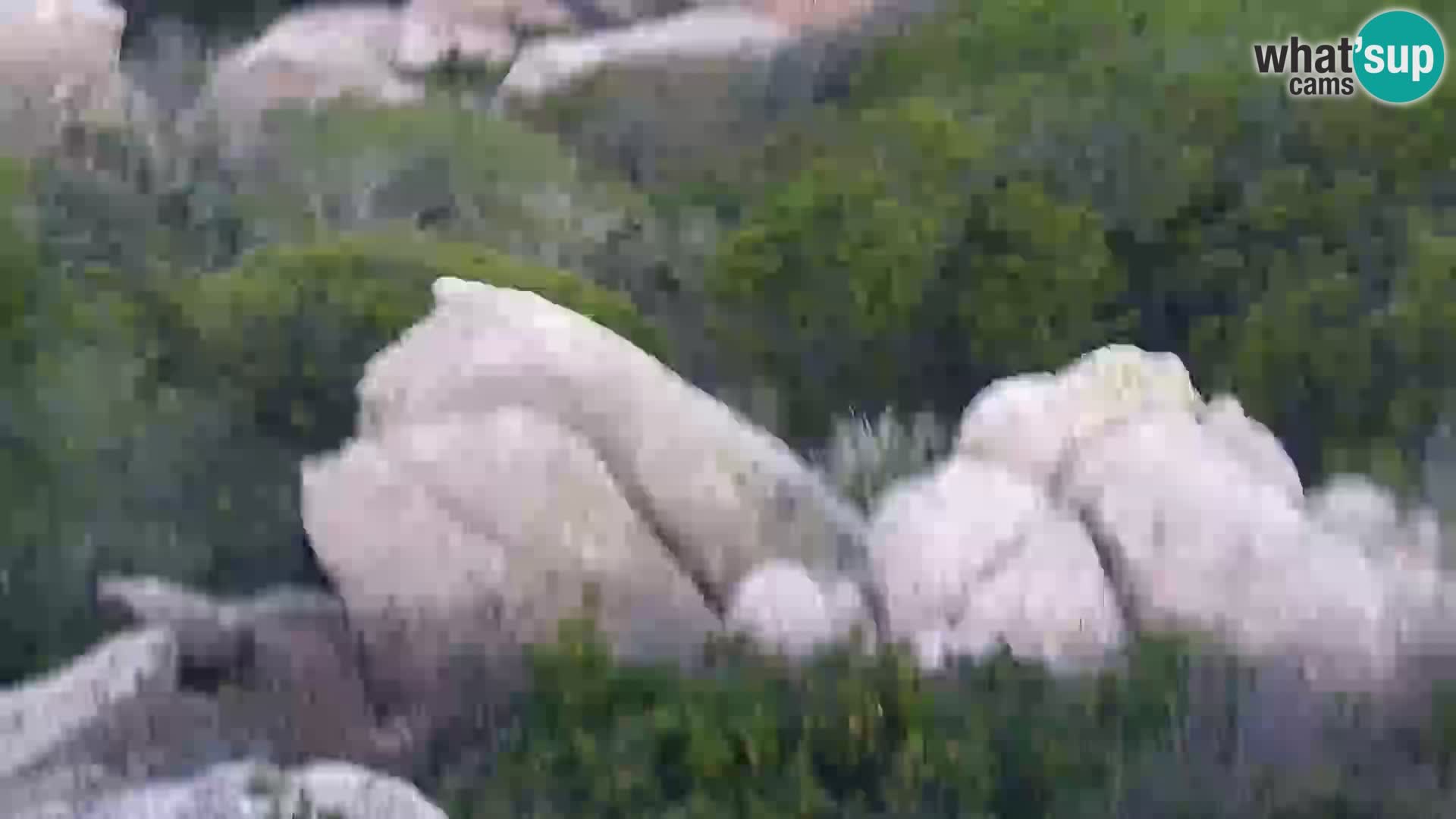 Punta Sardegna camera en vivo la Vedetta – Palau – Maddalena